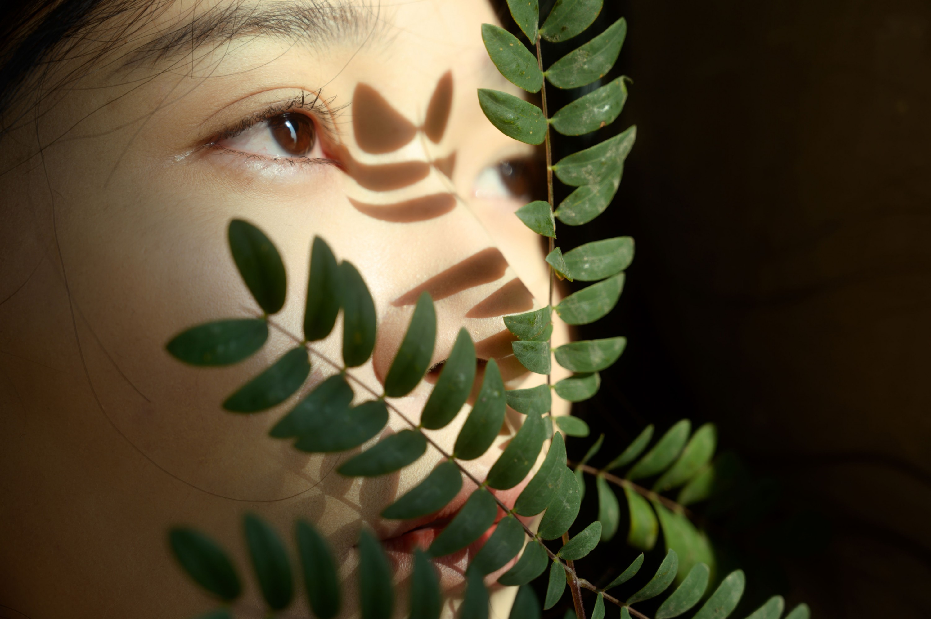 米饭 – 《海边的房子》[21P]