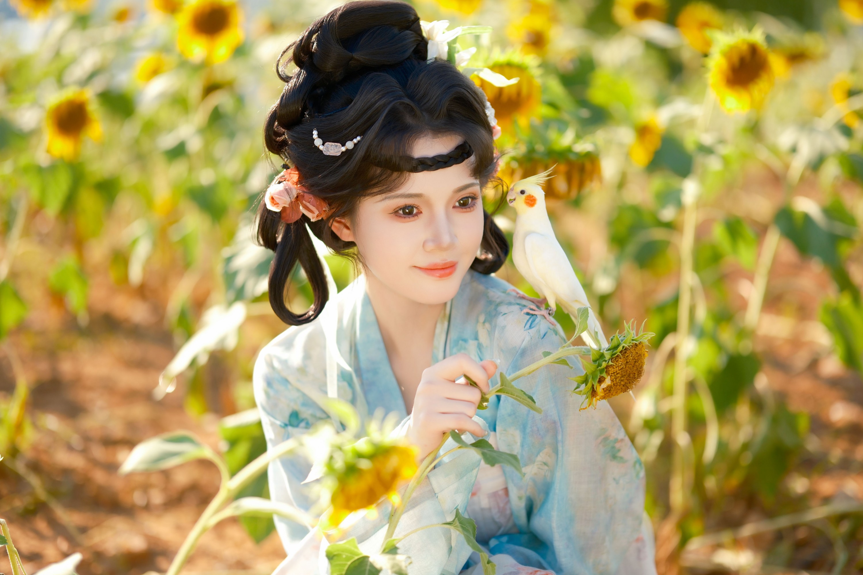 松饼啾啾 – 《向日葵少女》[56P]