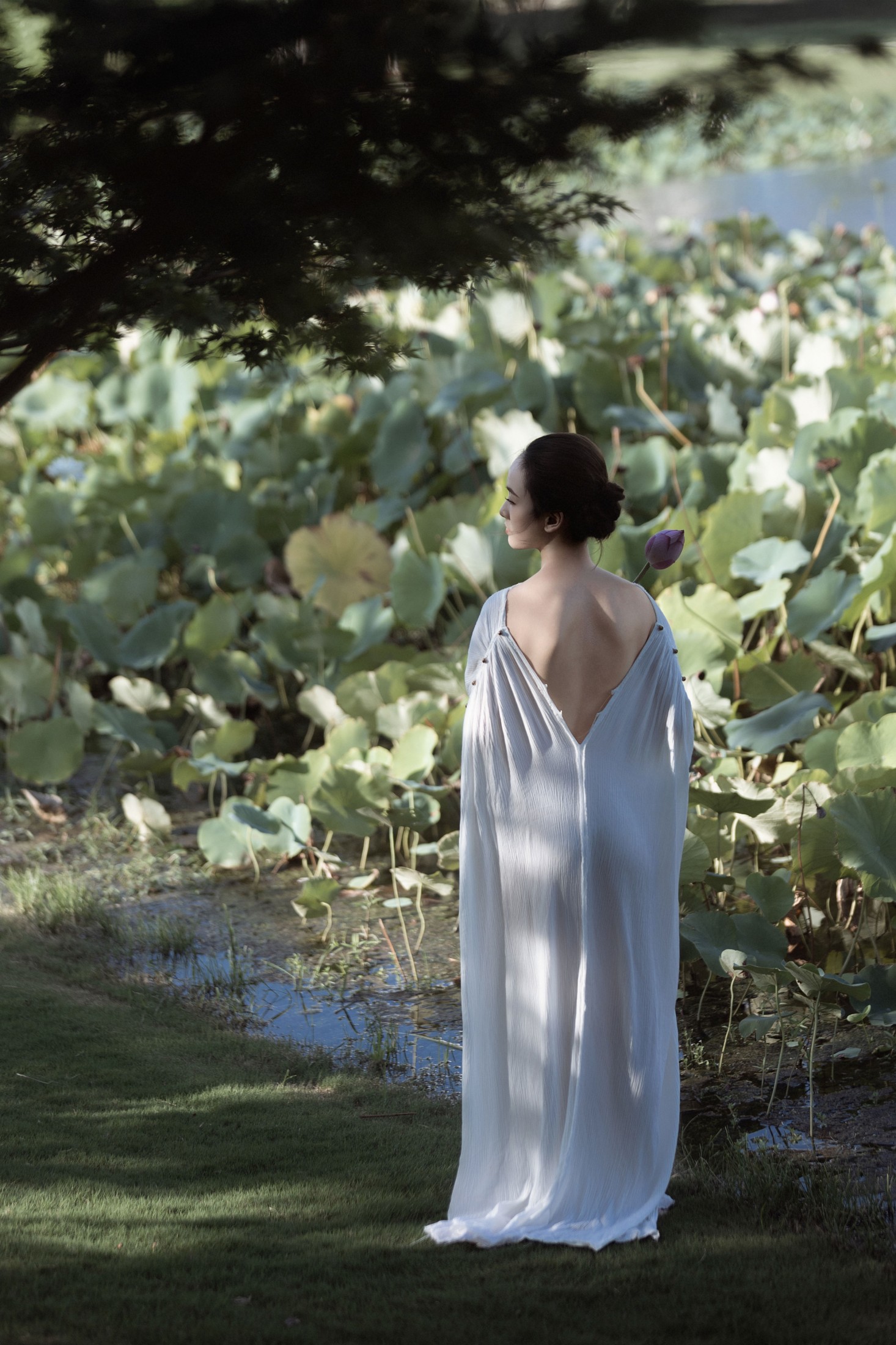 Hanhan – 《莲·生》[37P]