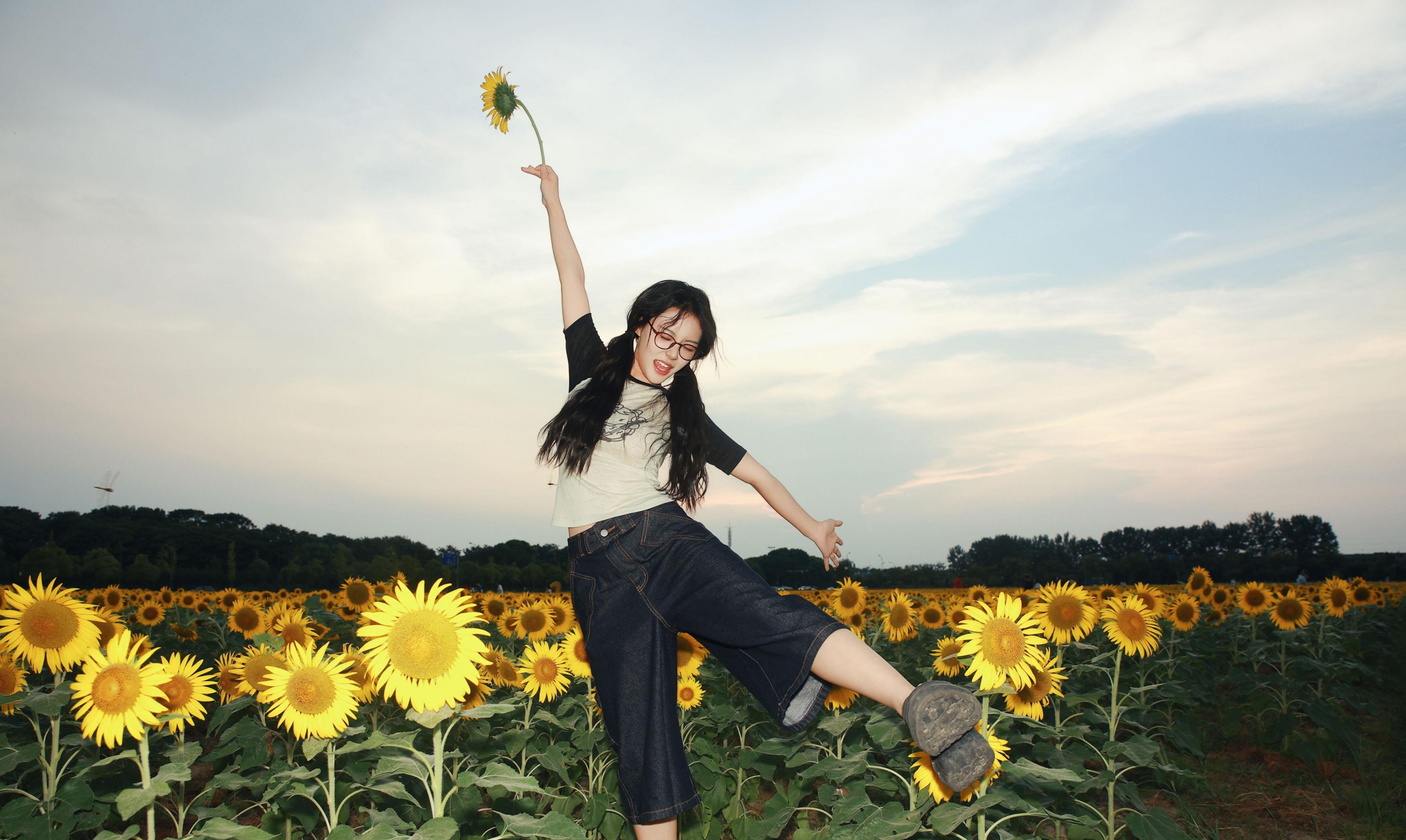 ivvvv – 《向日葵花海》[38P] 插图2