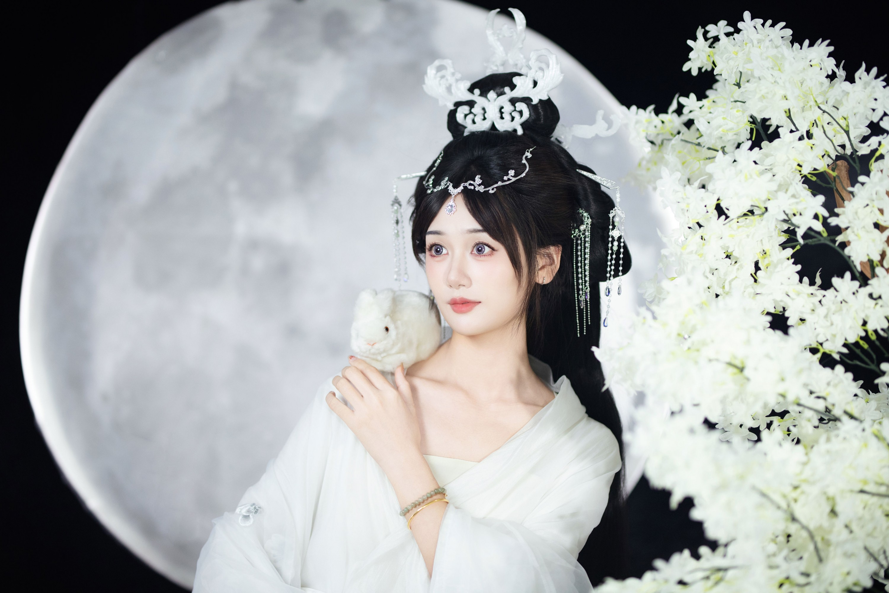 一只大大大李子 – 《嫦娥》[28P]