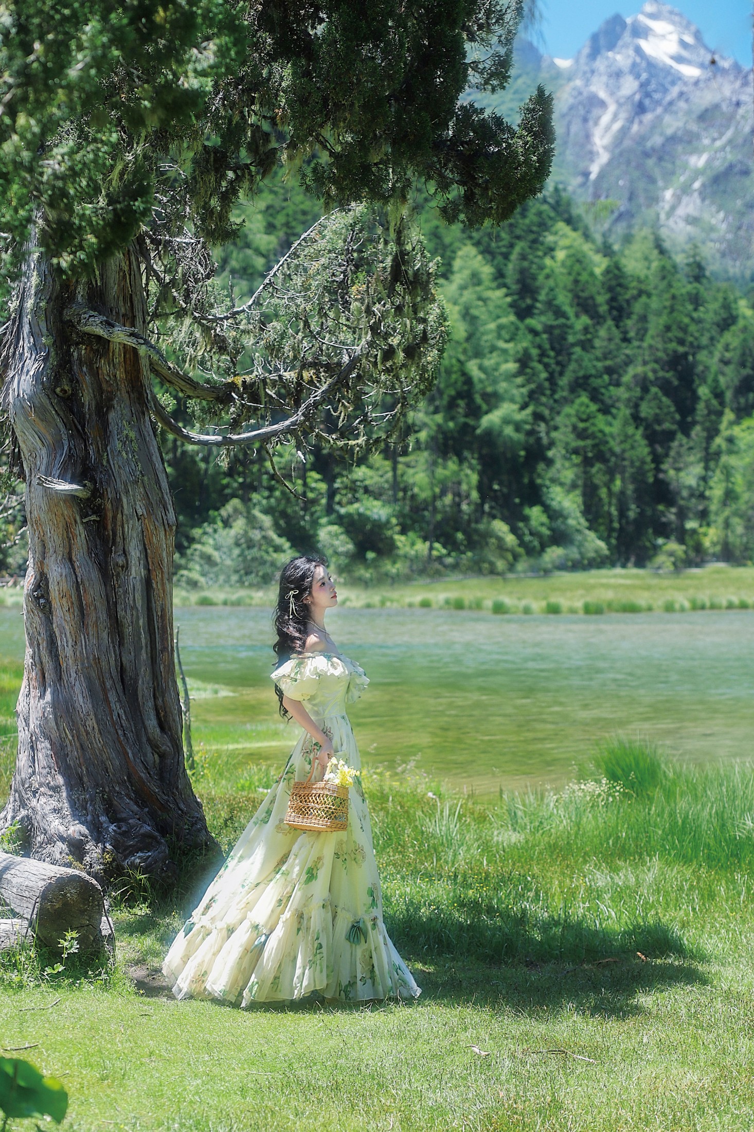 鹿离 – 《森林里的公主》[15P]