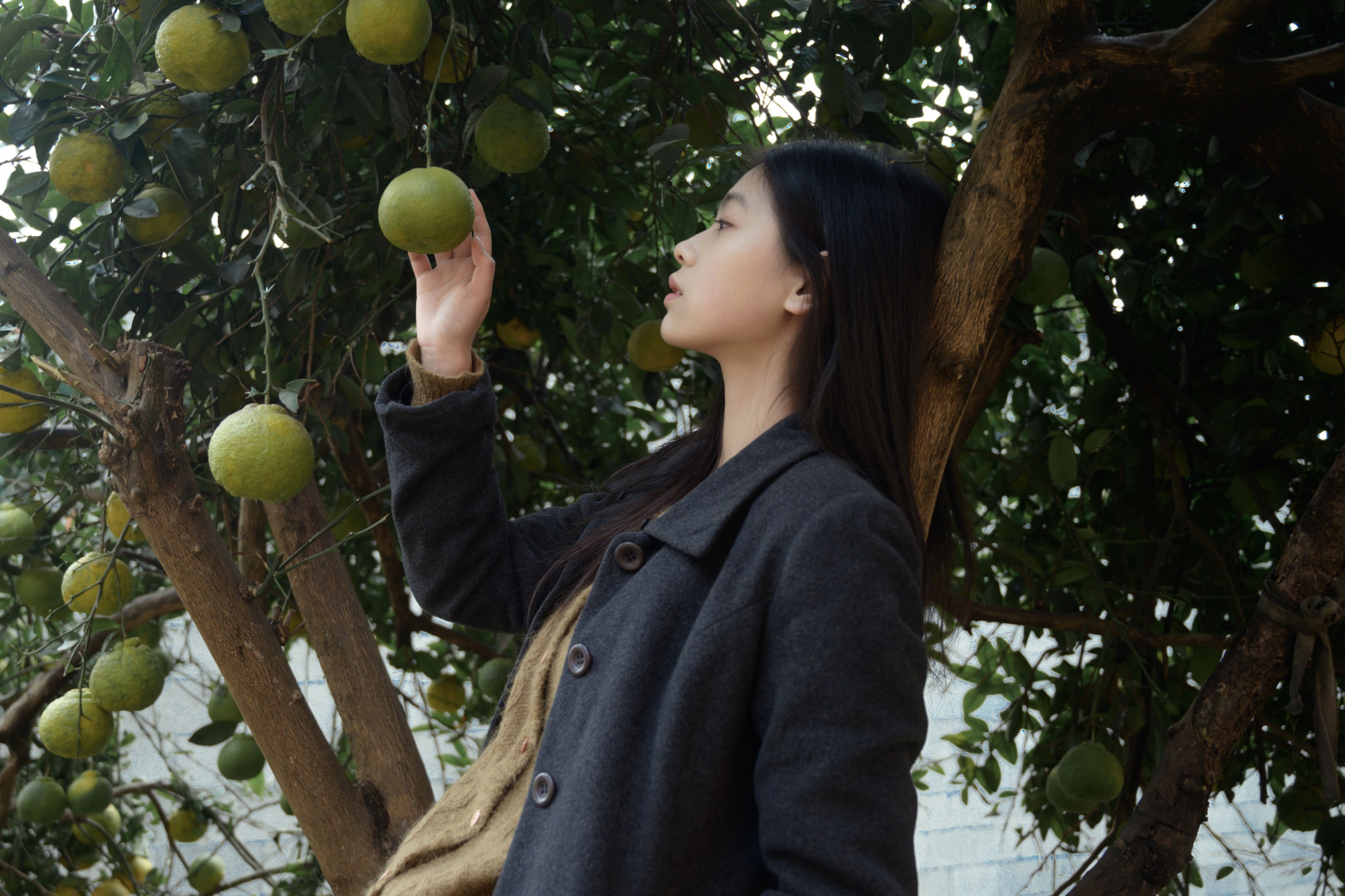 – 《果子》[17P]