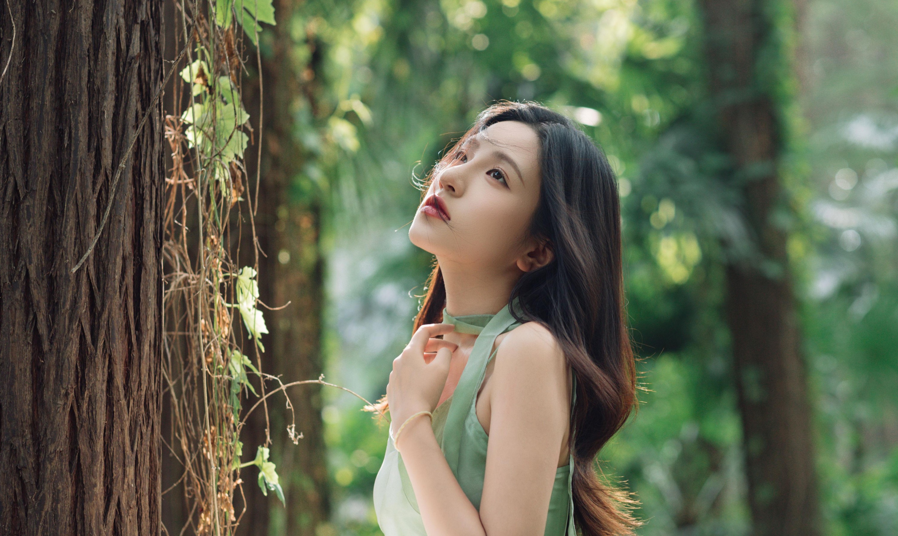 豆皮 – 《绿野仙踪》[15P]