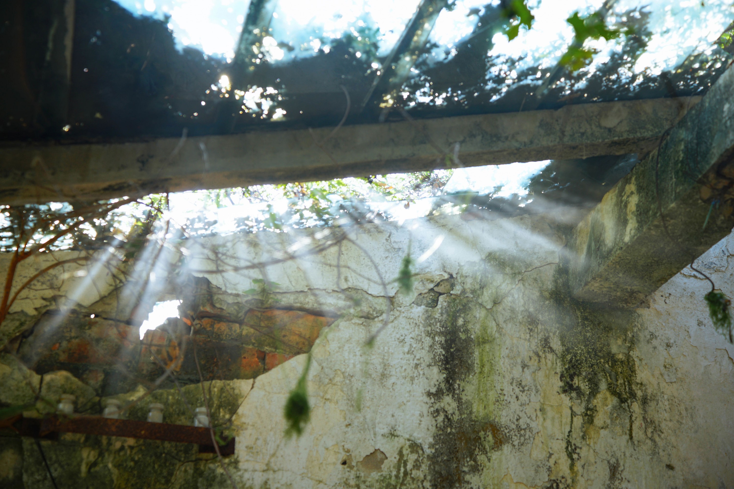  – 《光是救赎》[10P] 插图5