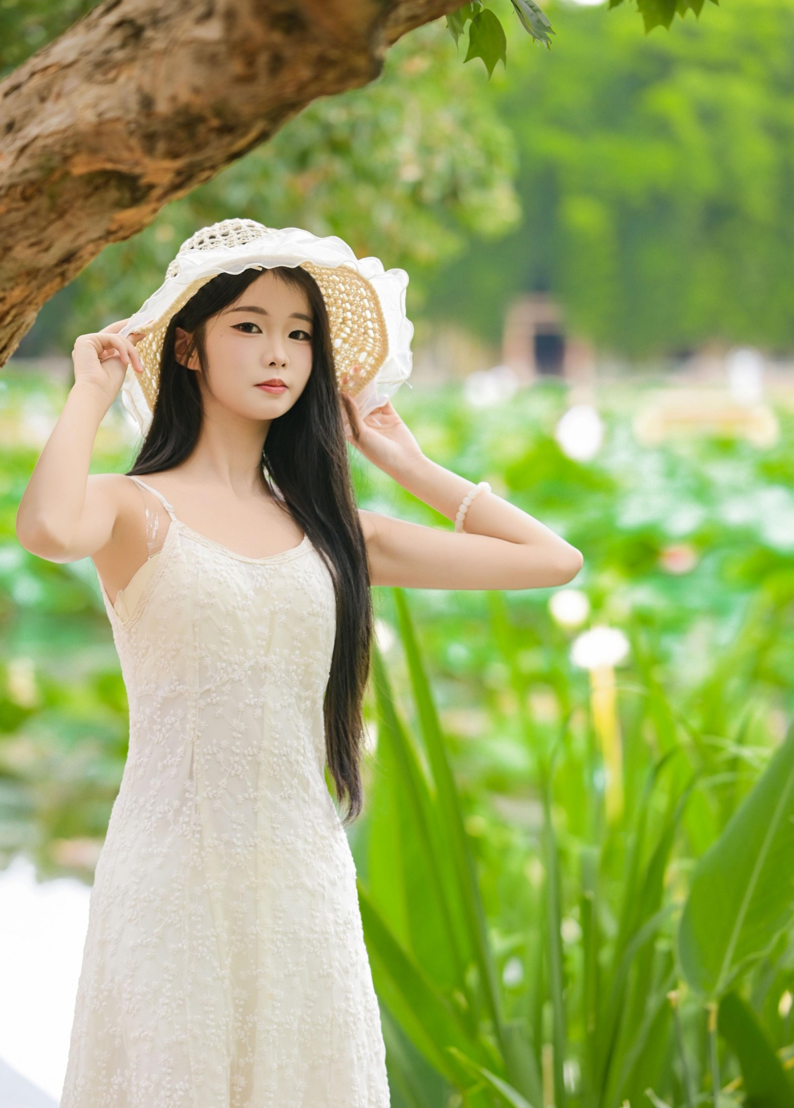 艾青 – 《菁菁芳华》[26P]