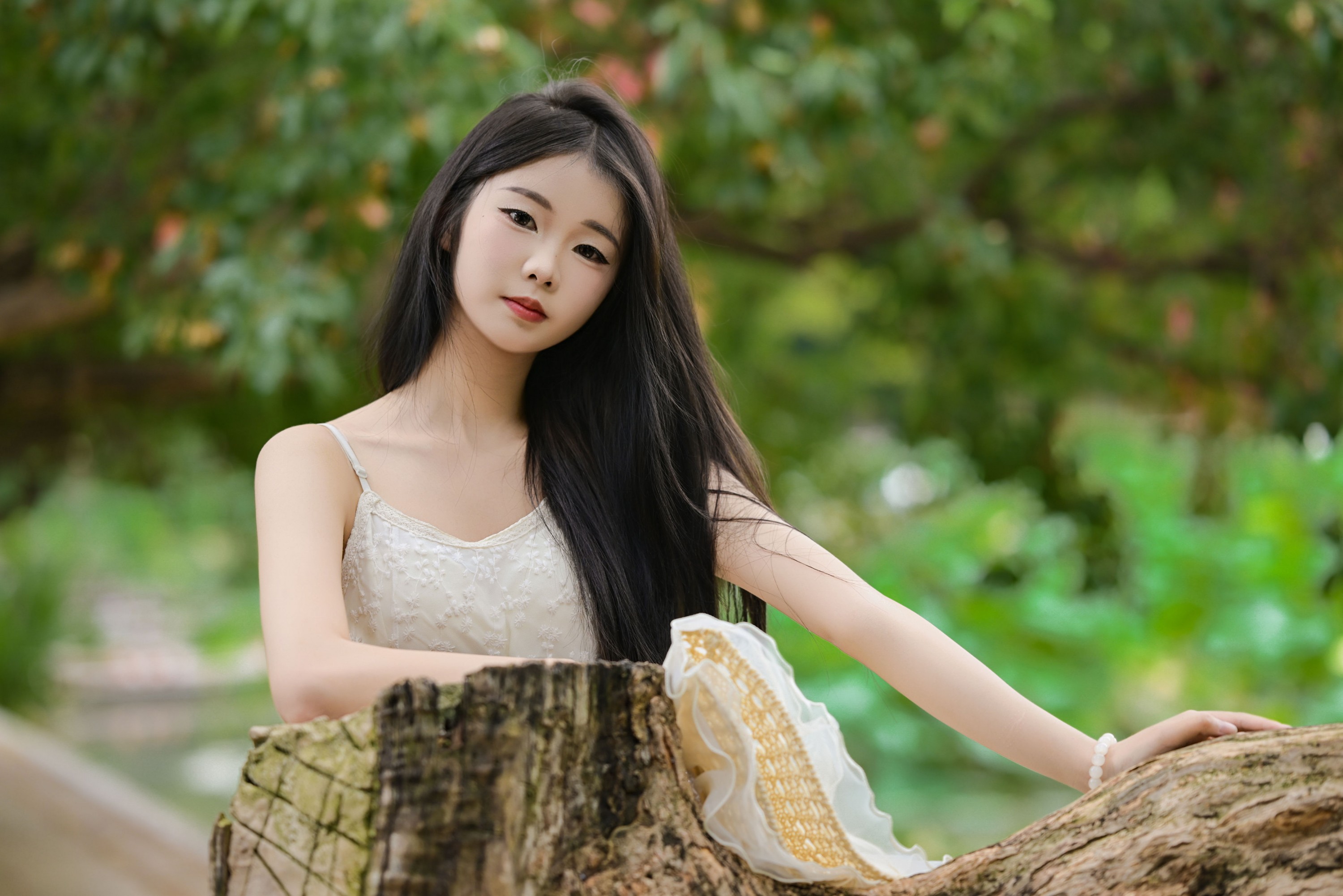 艾青 – 《菁菁芳华》[26P]