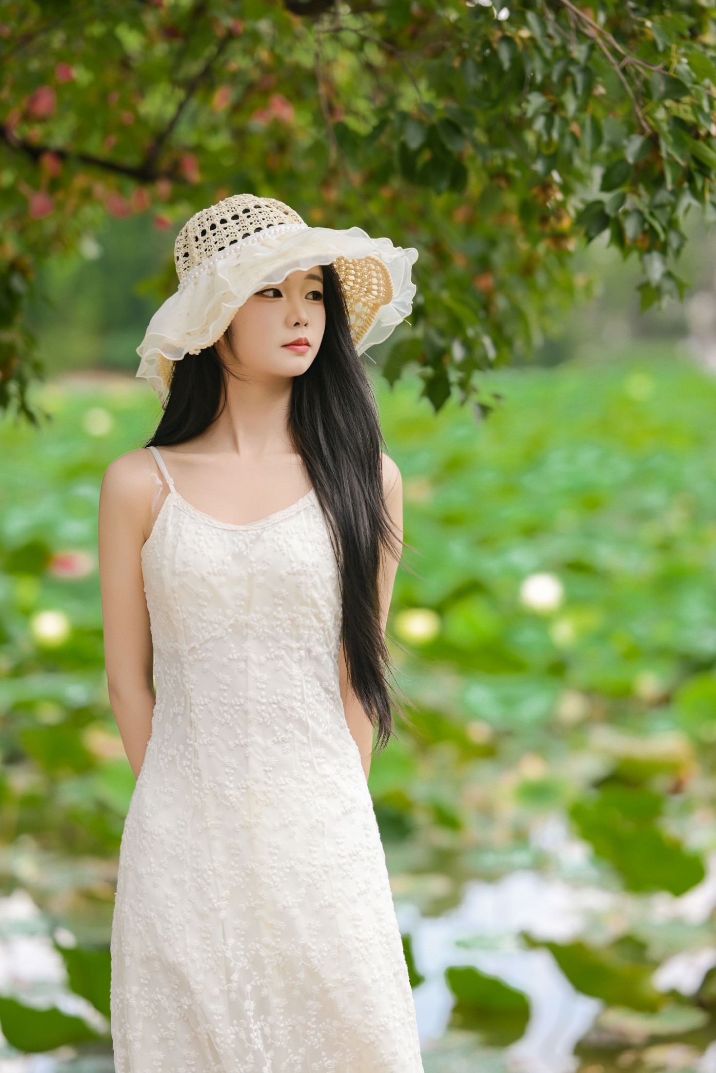 艾青 – 《菁菁芳华》[26P]