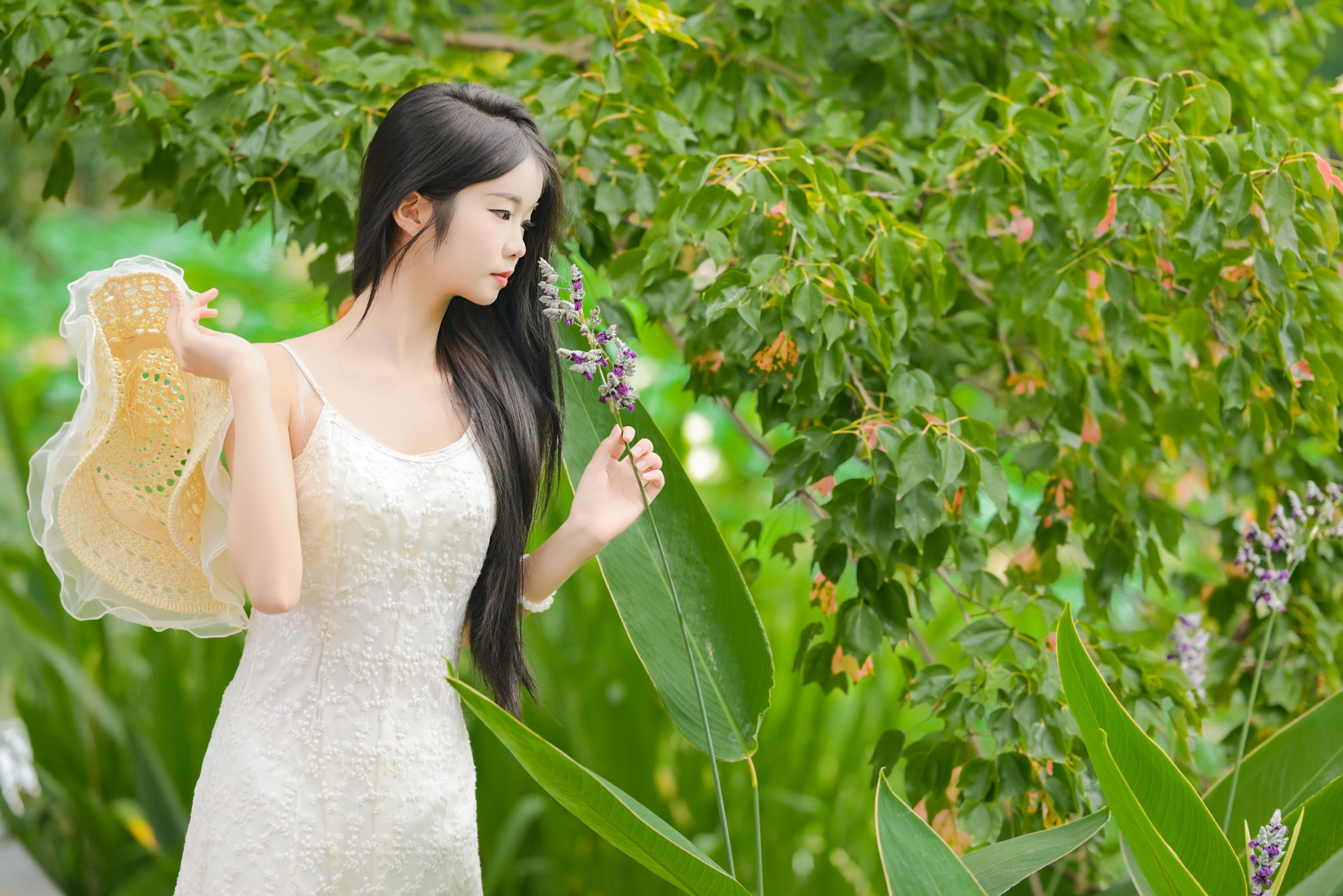 艾青 – 《菁菁芳华》[26P]