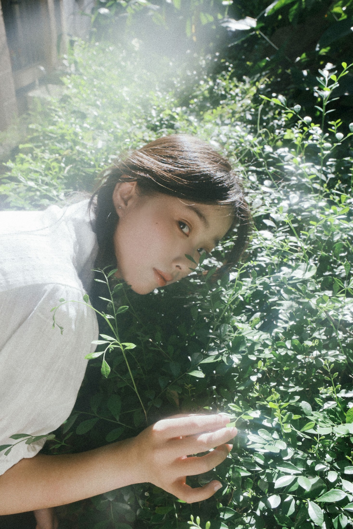 – 《人们为何总是为绿色着迷》[9P]