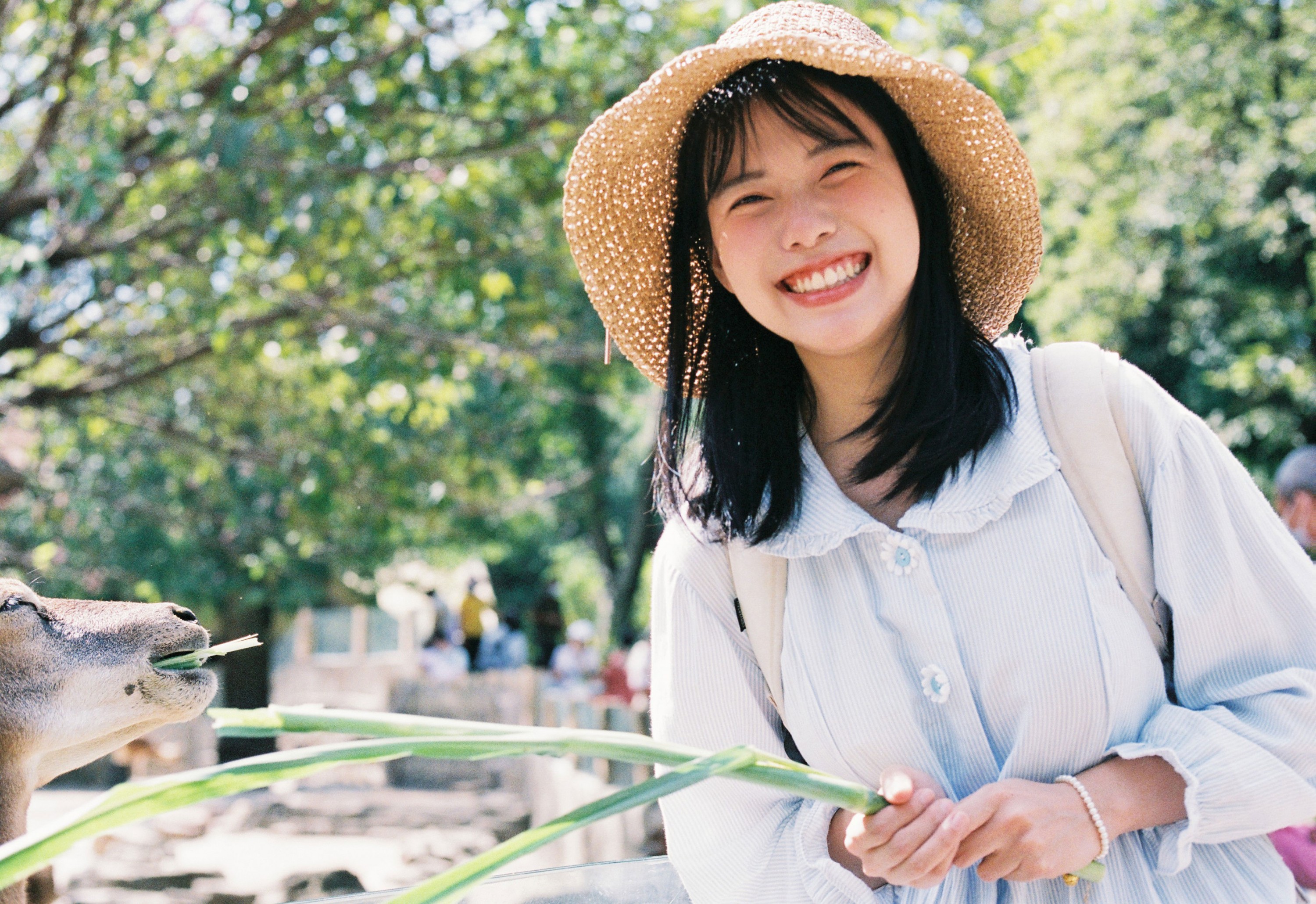 脆脆鲨甜掉牙- – 《动物园游记》[10P]