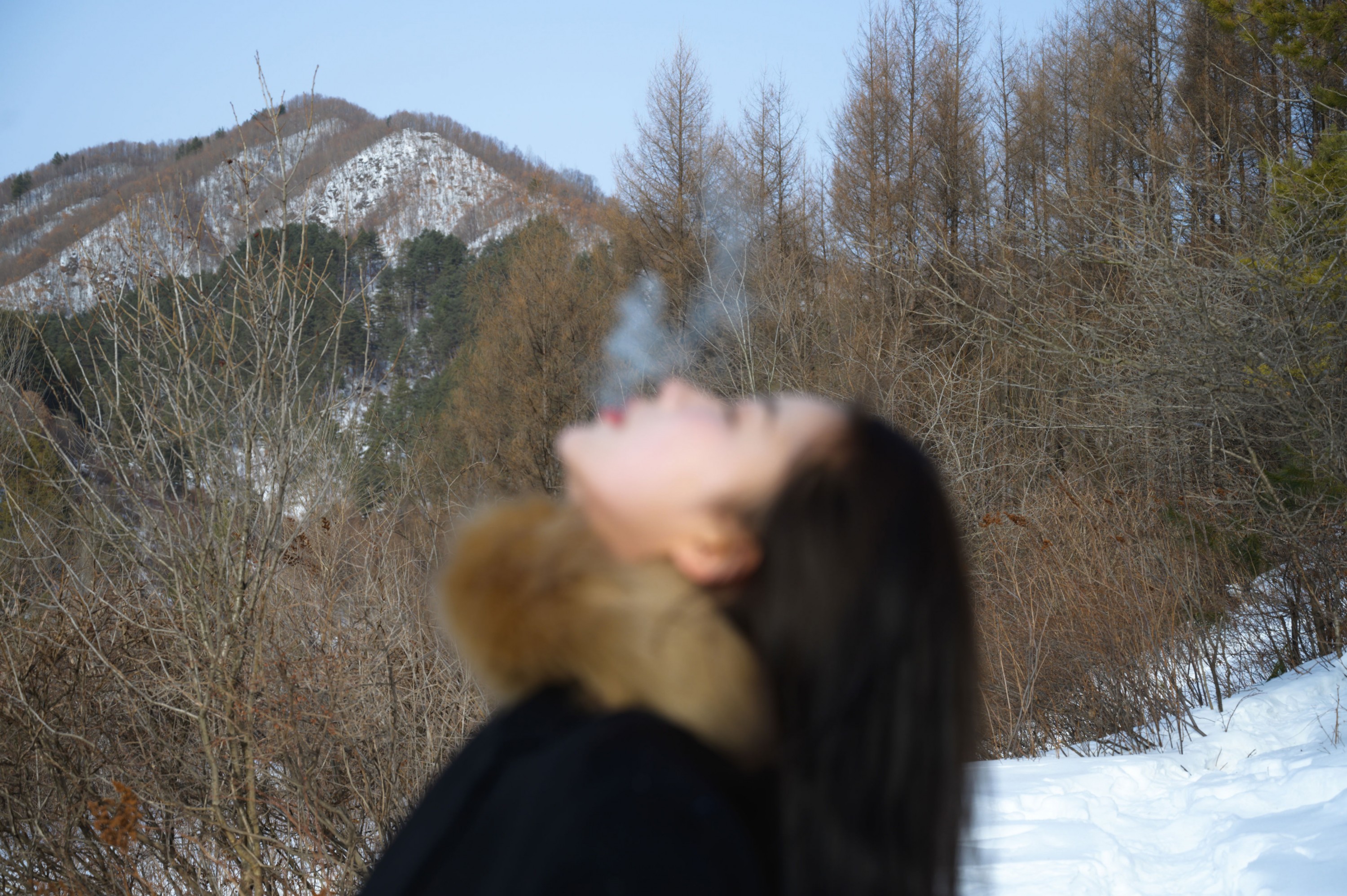 双双 – 《风与雪》[15P] 插图5