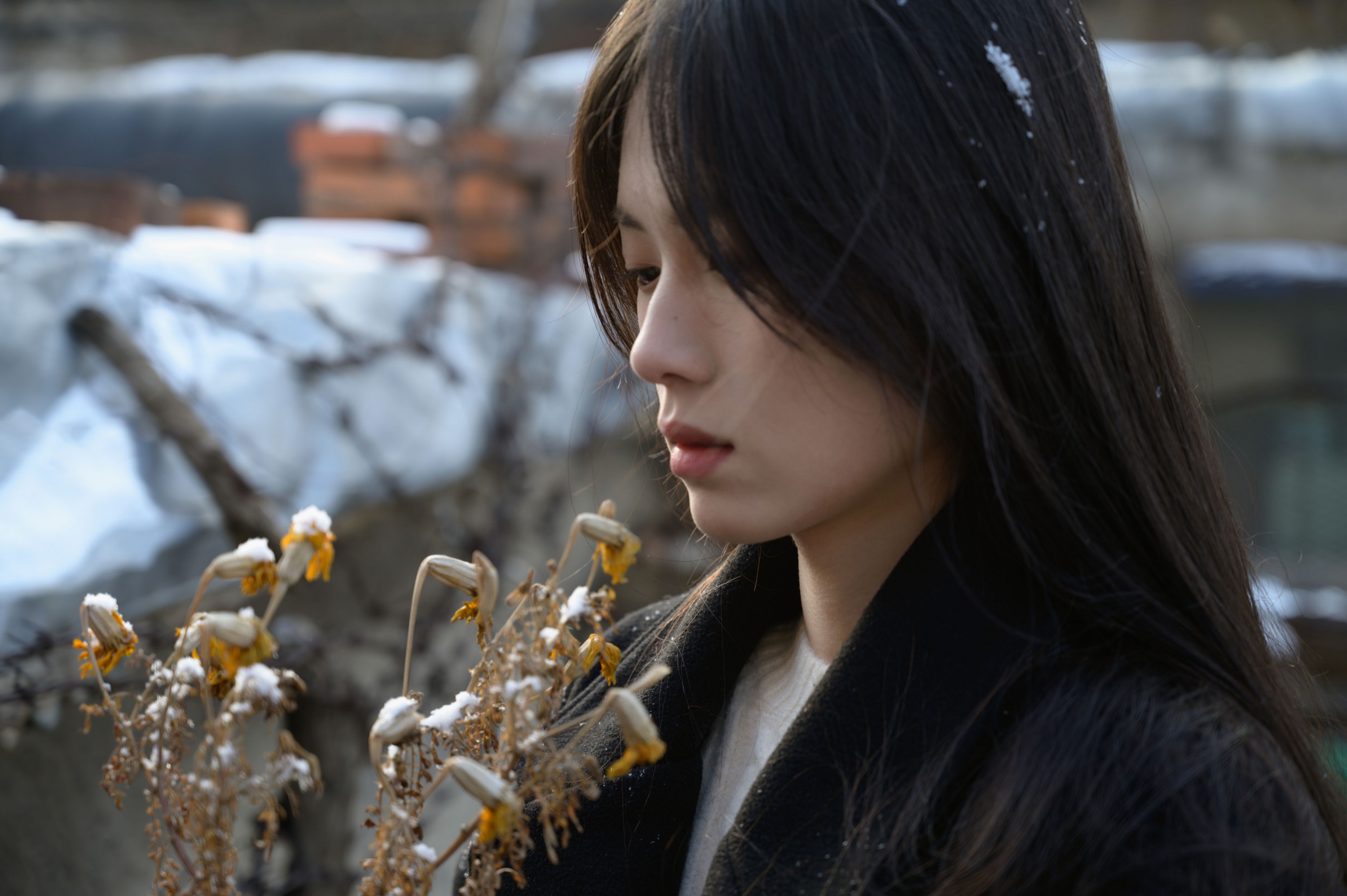 – 《老城区》[15P]