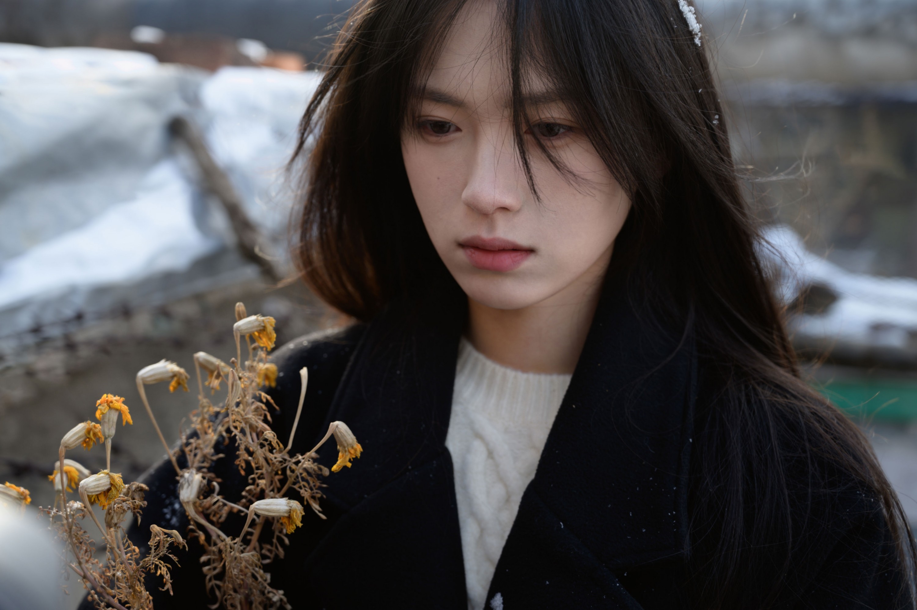 – 《老城区》[15P]