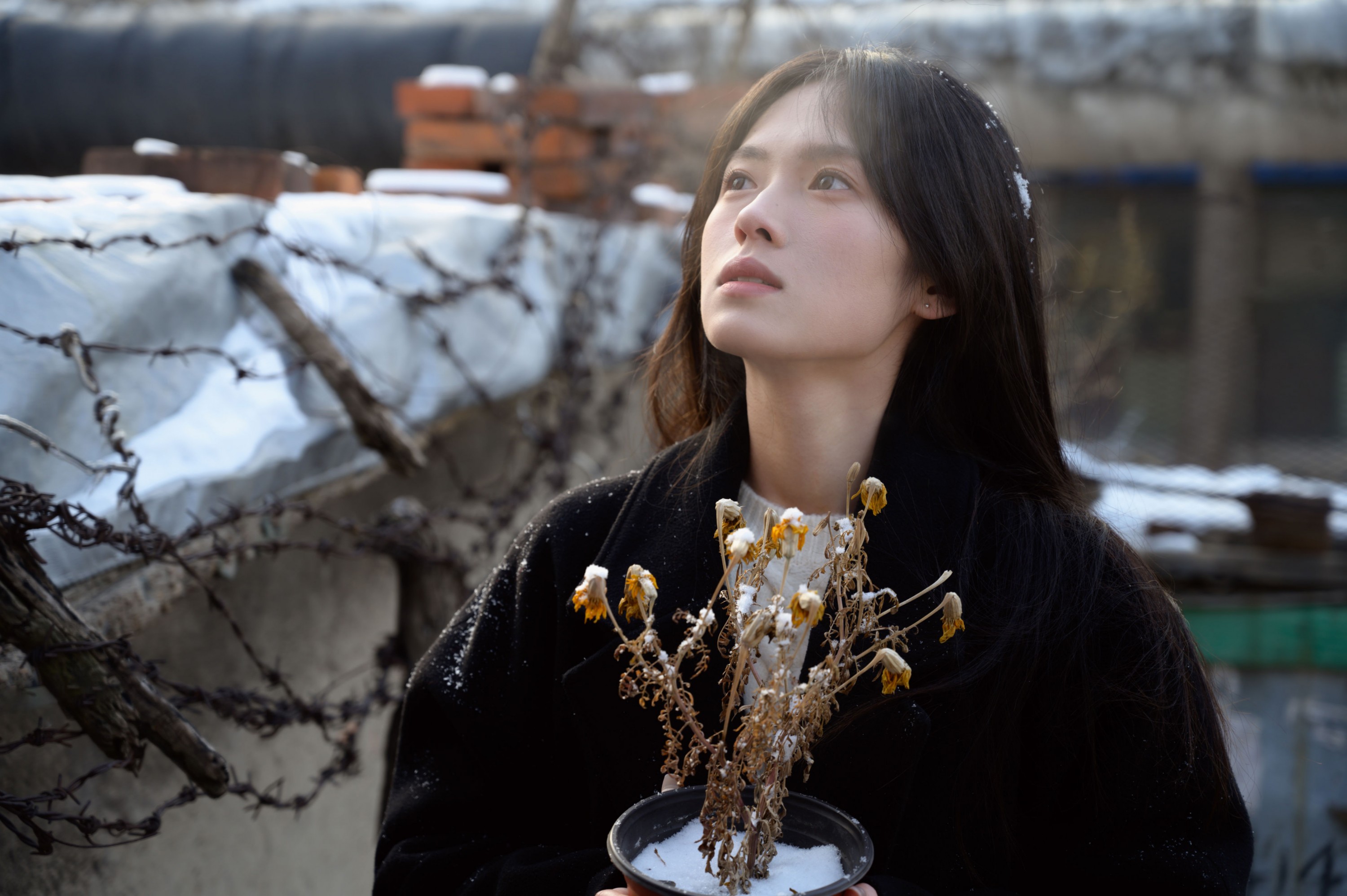 – 《老城区》[15P]