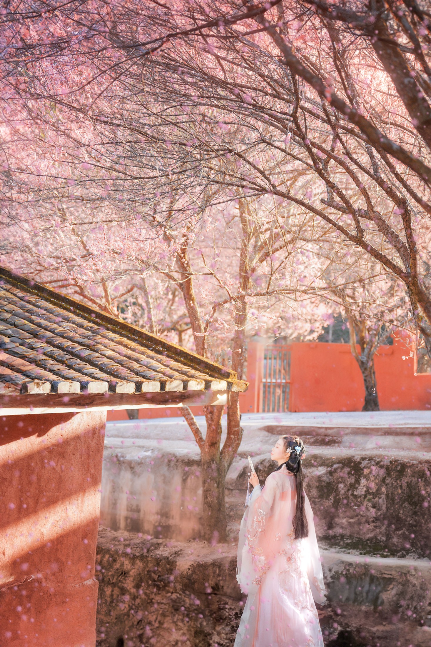 卿莫07 – 《梅花古风人像拍摄》[22P]