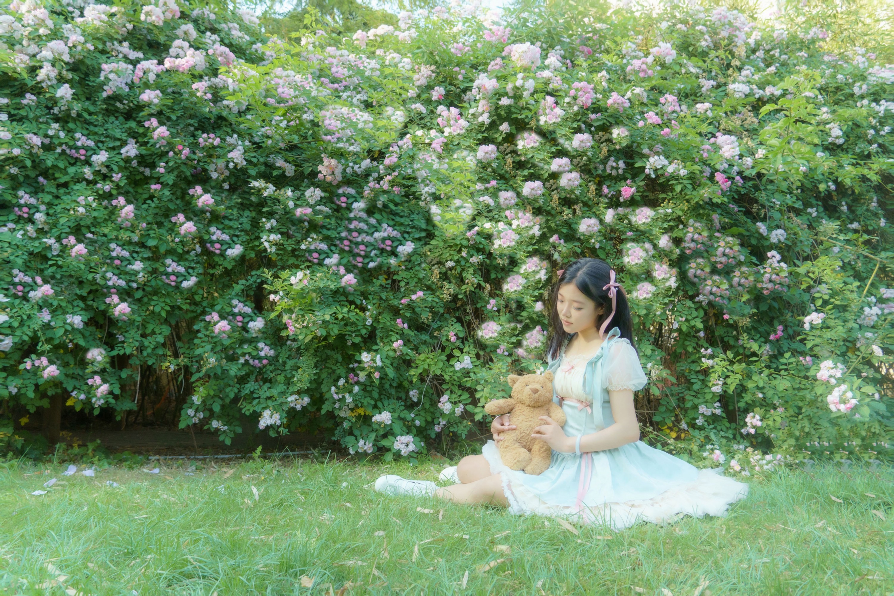 – 《蔷薇之夏》[11P]