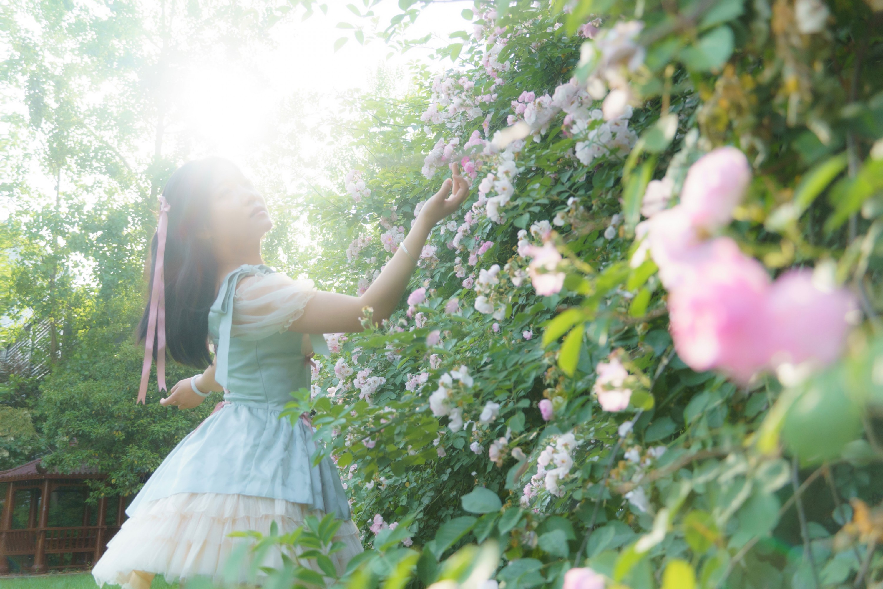 – 《蔷薇之夏》[11P]