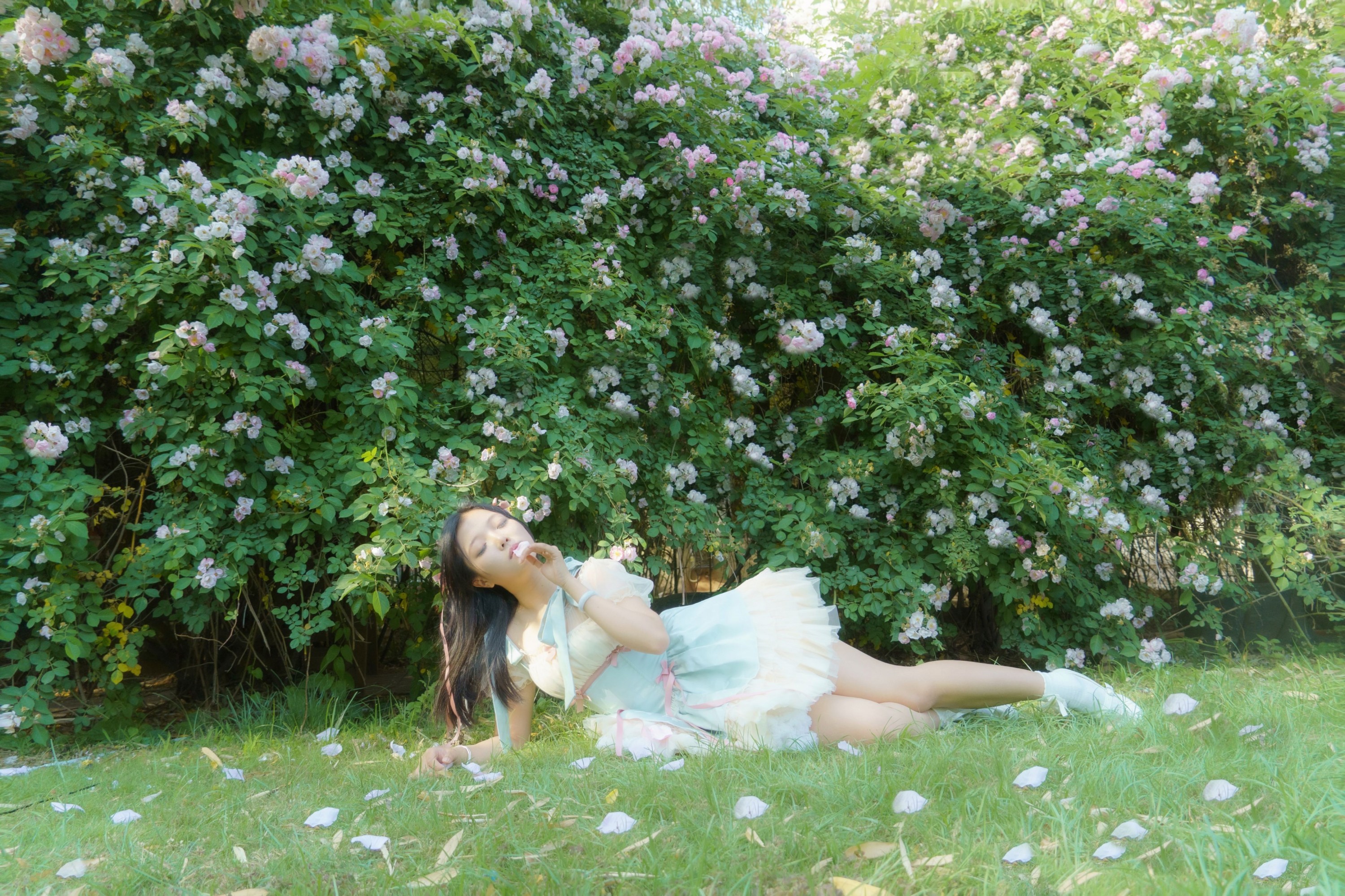 – 《蔷薇之夏》[11P]