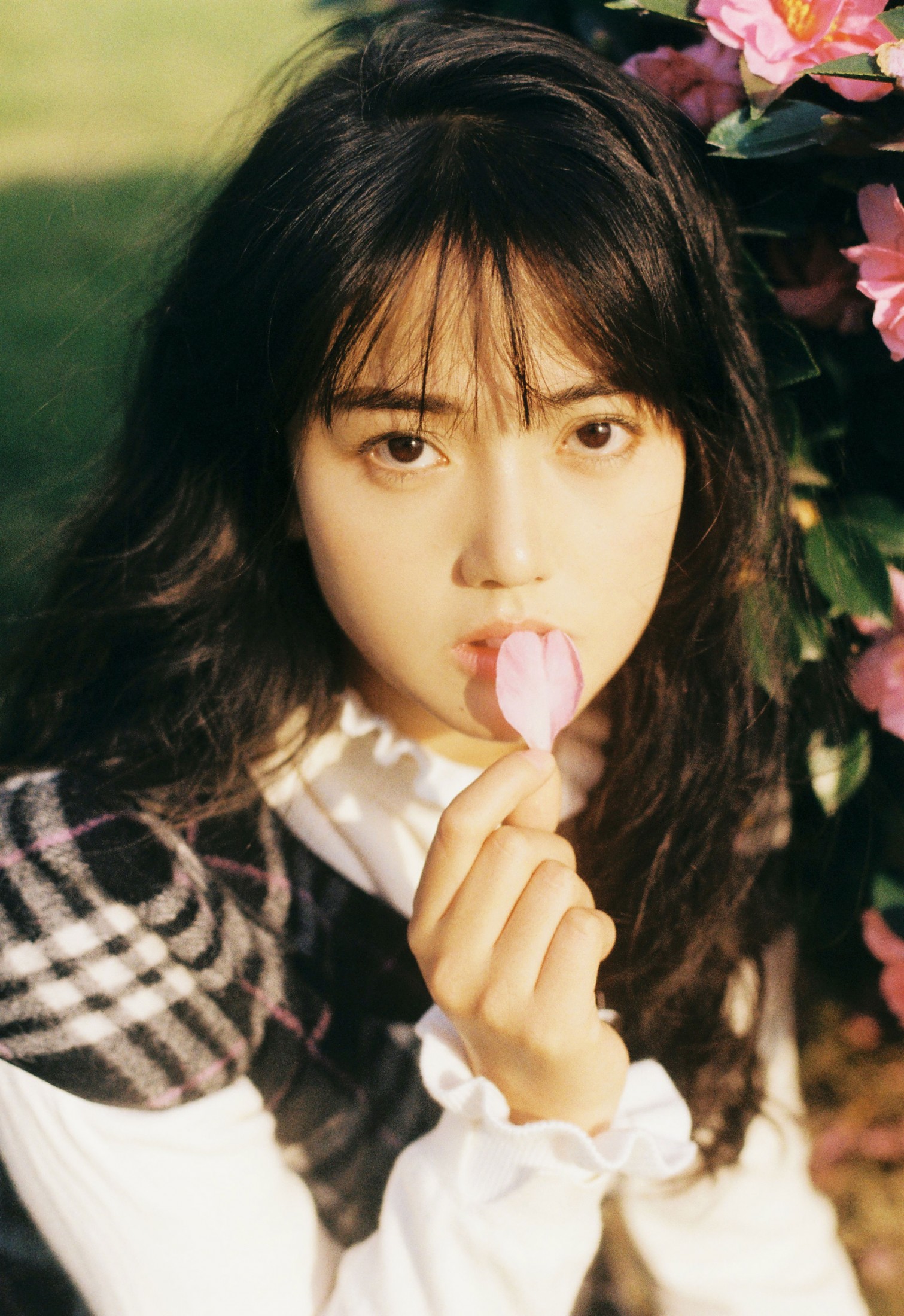 爆毛绵羊 – 《温暖又闪亮》[26P]