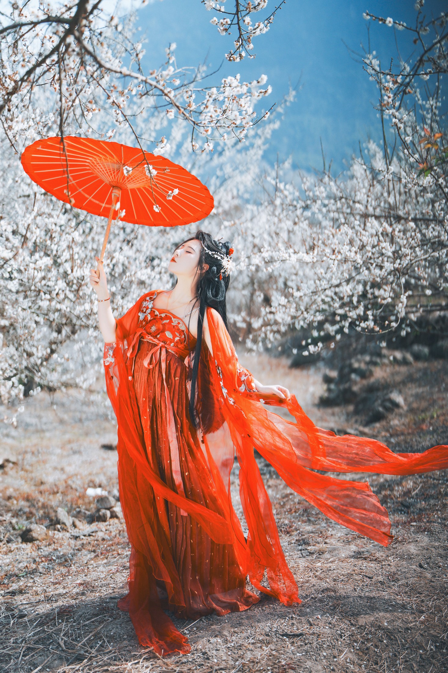 浅月没有月 – 《梅花古风人像拍摄》[18P] 插图3