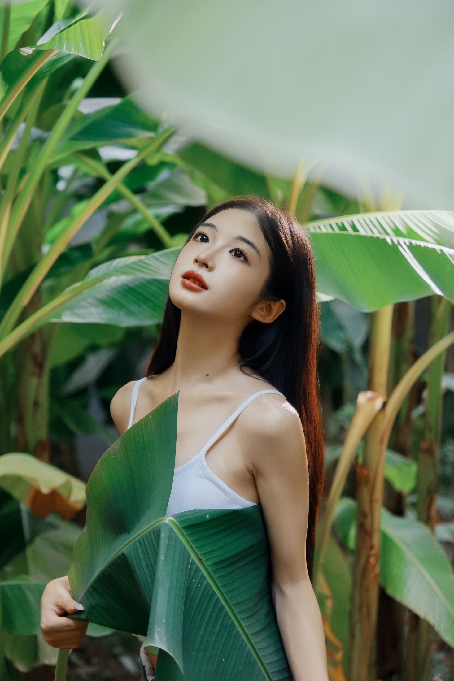 蝴蝶 – 《芭蕉叶下的邂逅》[25P]