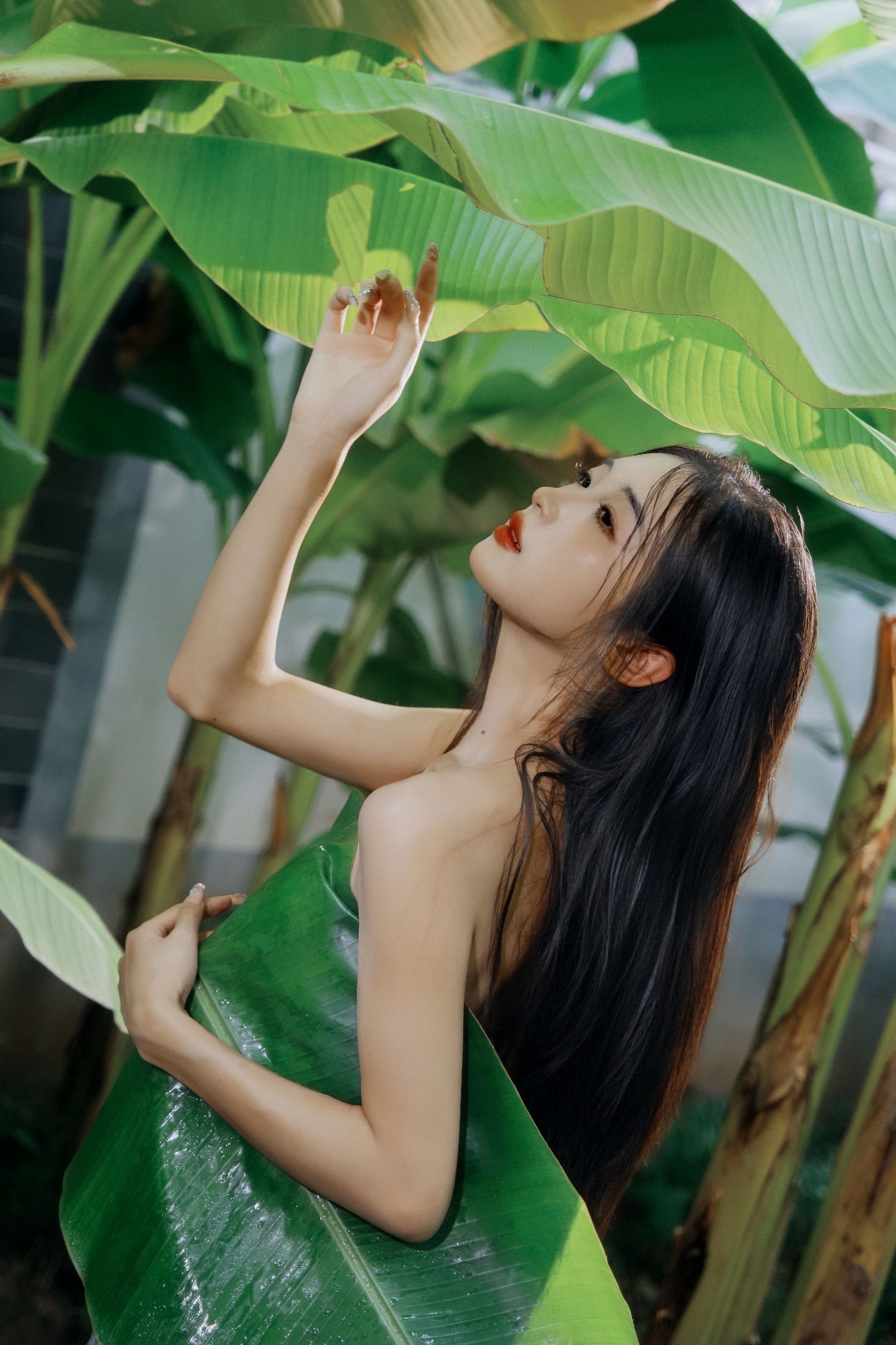 蝴蝶 – 《芭蕉叶下的邂逅》[25P]