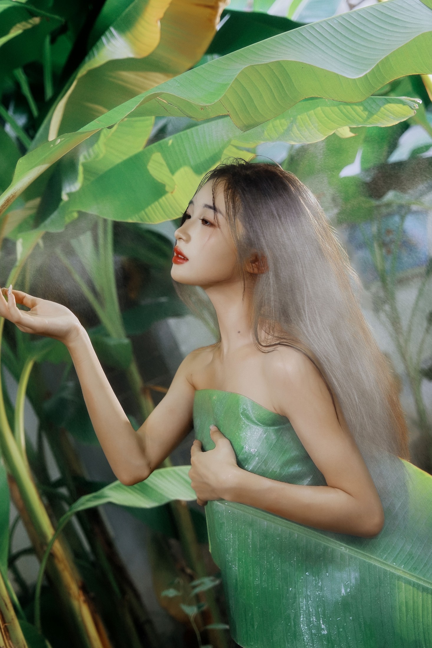 蝴蝶 – 《芭蕉叶下的邂逅》[25P]