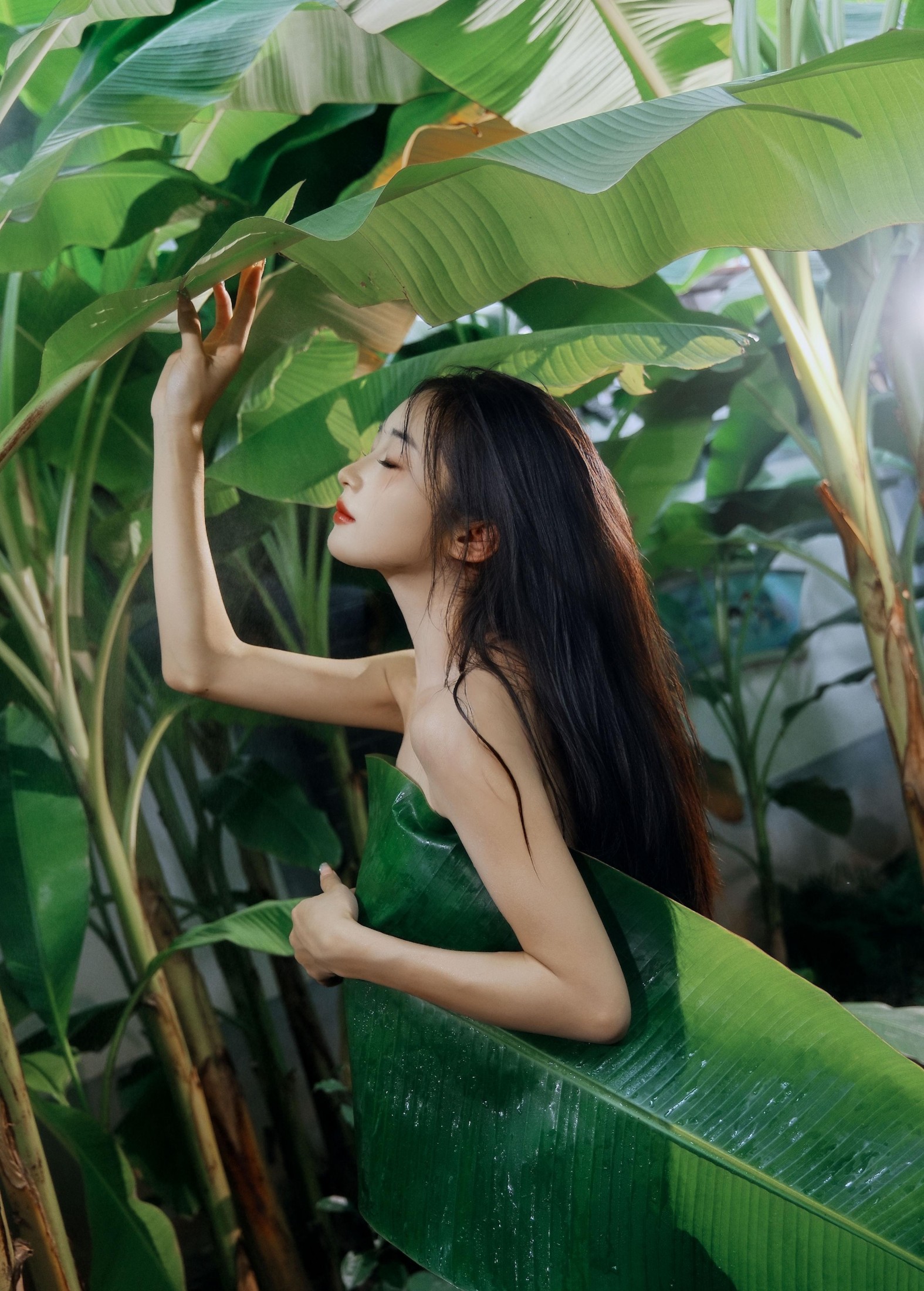 蝴蝶 – 《芭蕉叶下的邂逅》[25P]