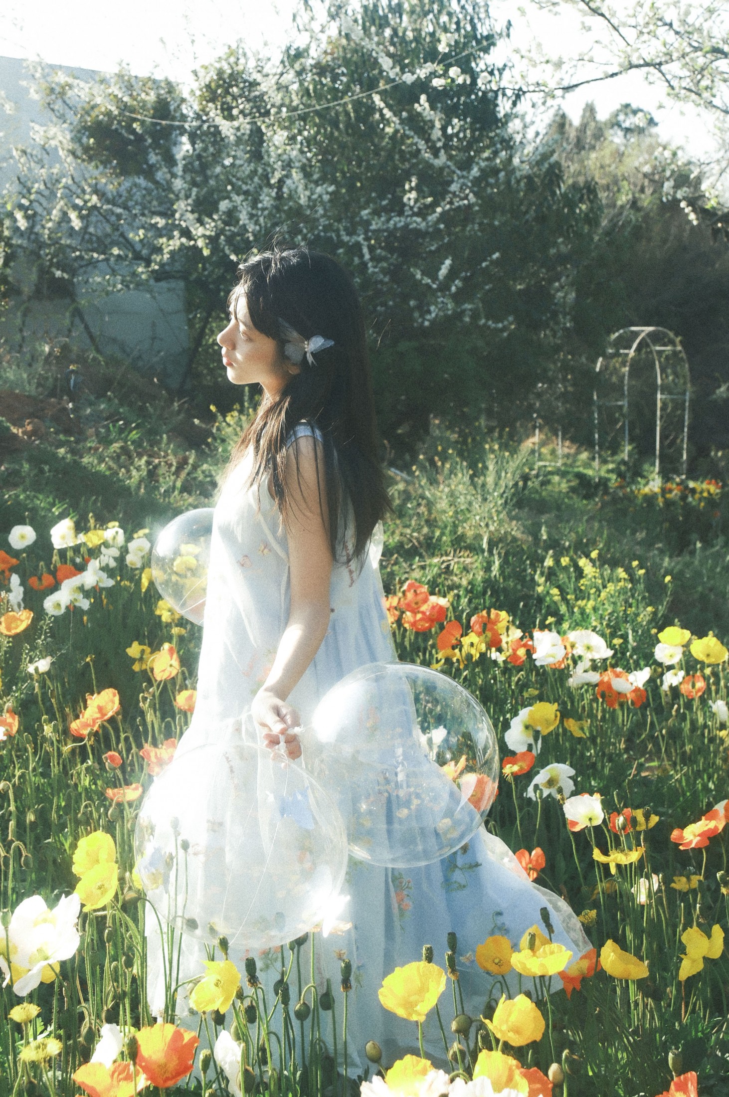 清蒸鱿鱼 – 《春日归》[9P]