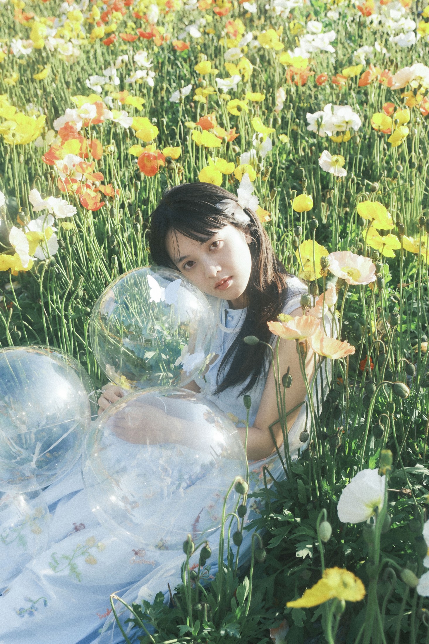 清蒸鱿鱼 – 《春日归》[9P]