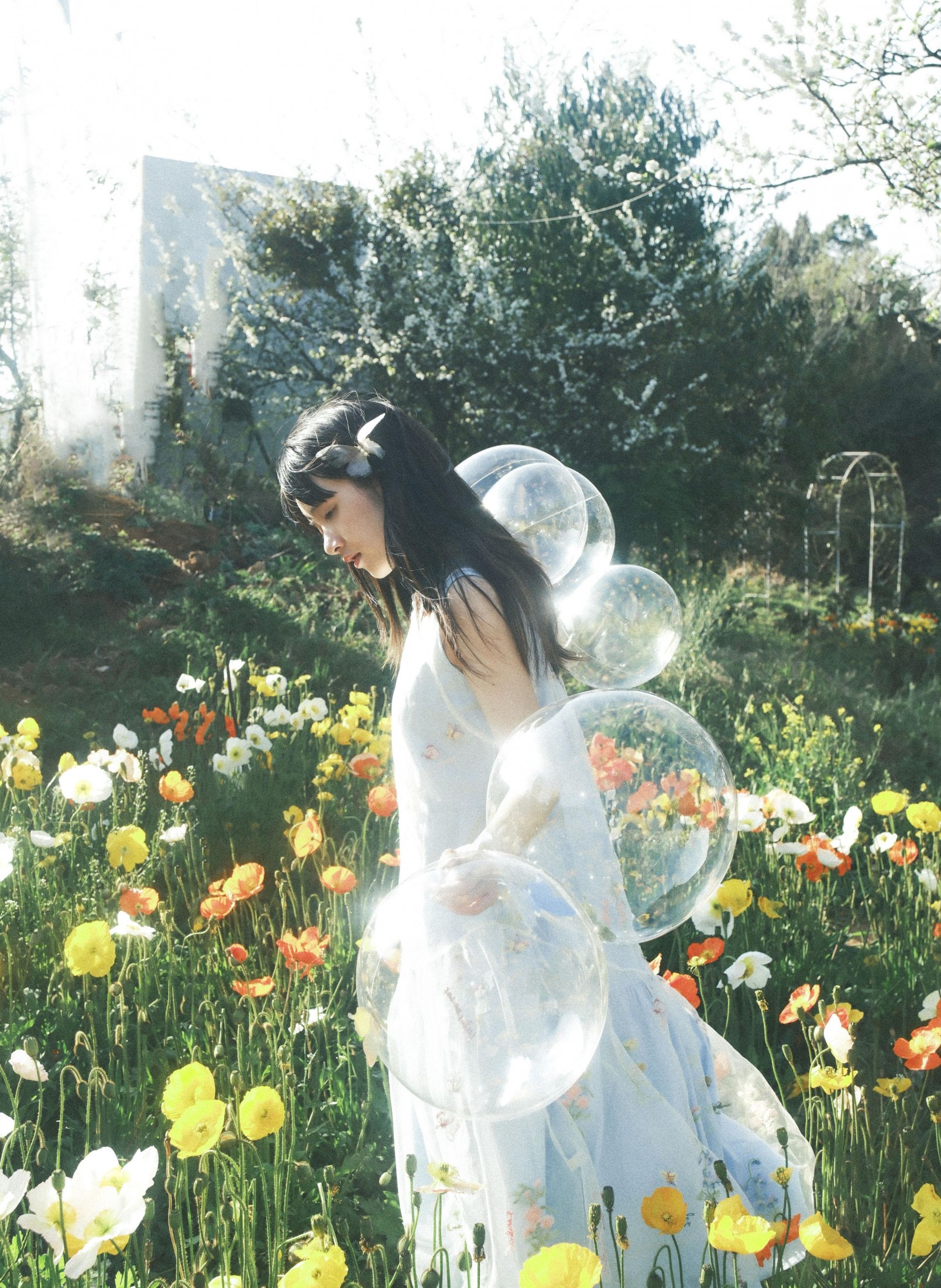 清蒸鱿鱼 – 《春日归》[9P]