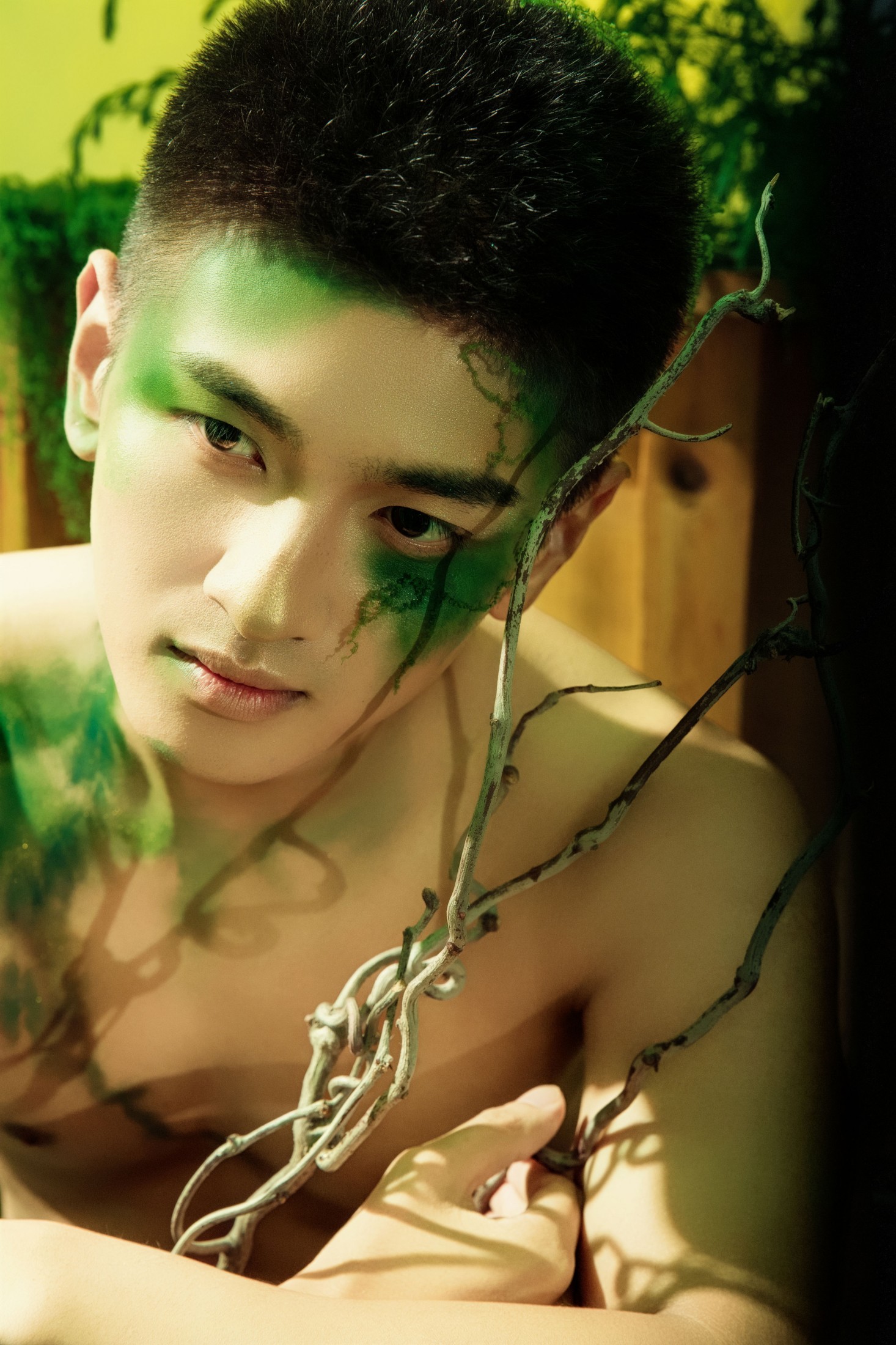 子辰辰辰 – 《绿意》[12P] 插图3