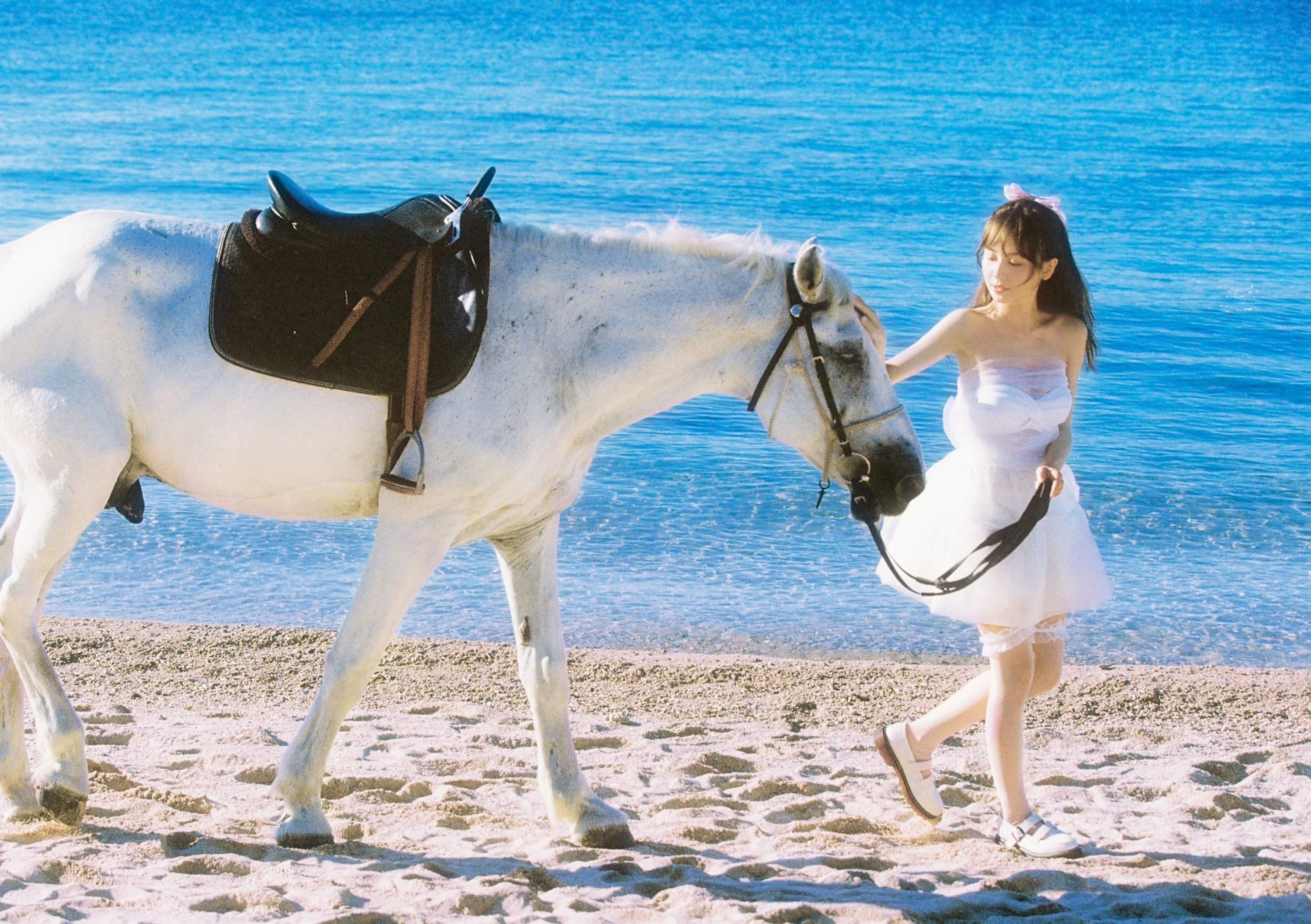 顾林x – 《白马公主》[9P]