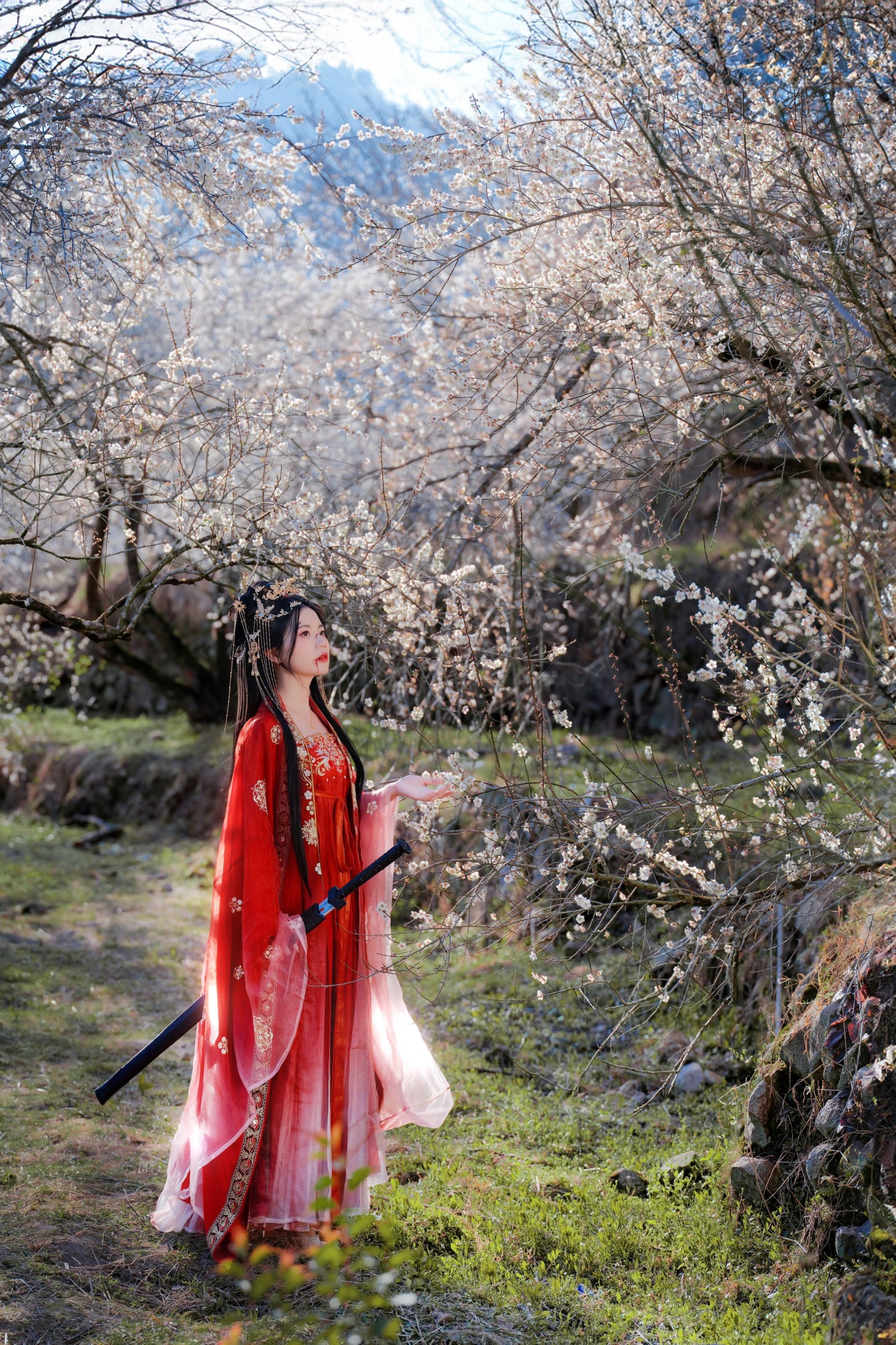 阿咩 – 《梅花古风人像拍摄》[14P]