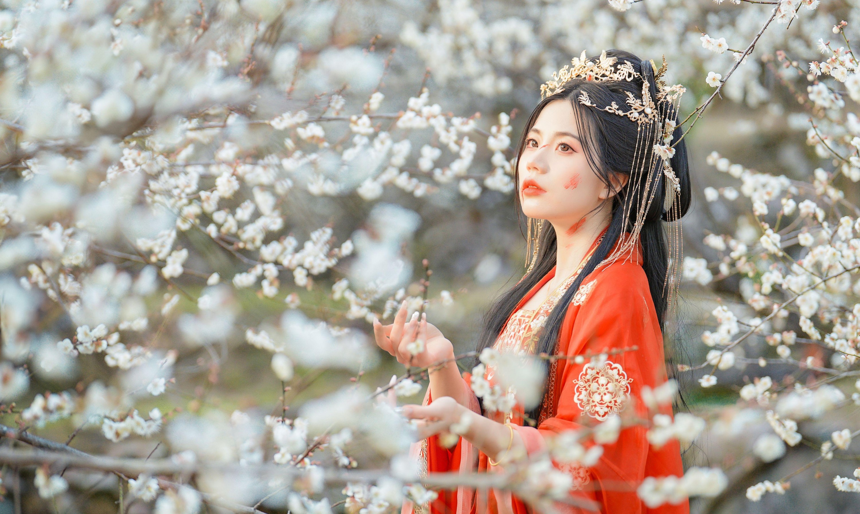 阿咩 – 《梅花古风人像拍摄》[14P]