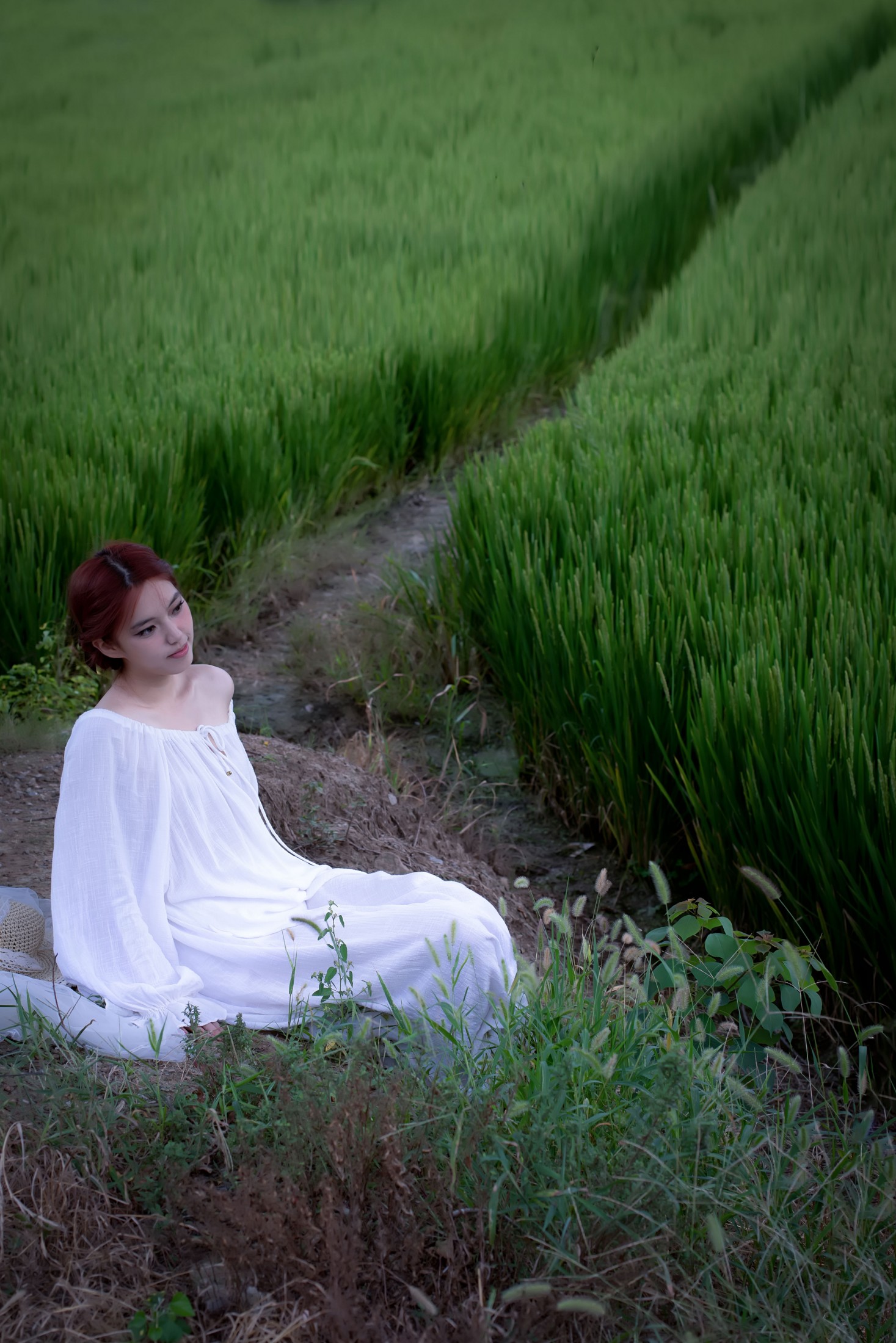 小肖 – 《青青稻田》[15P]