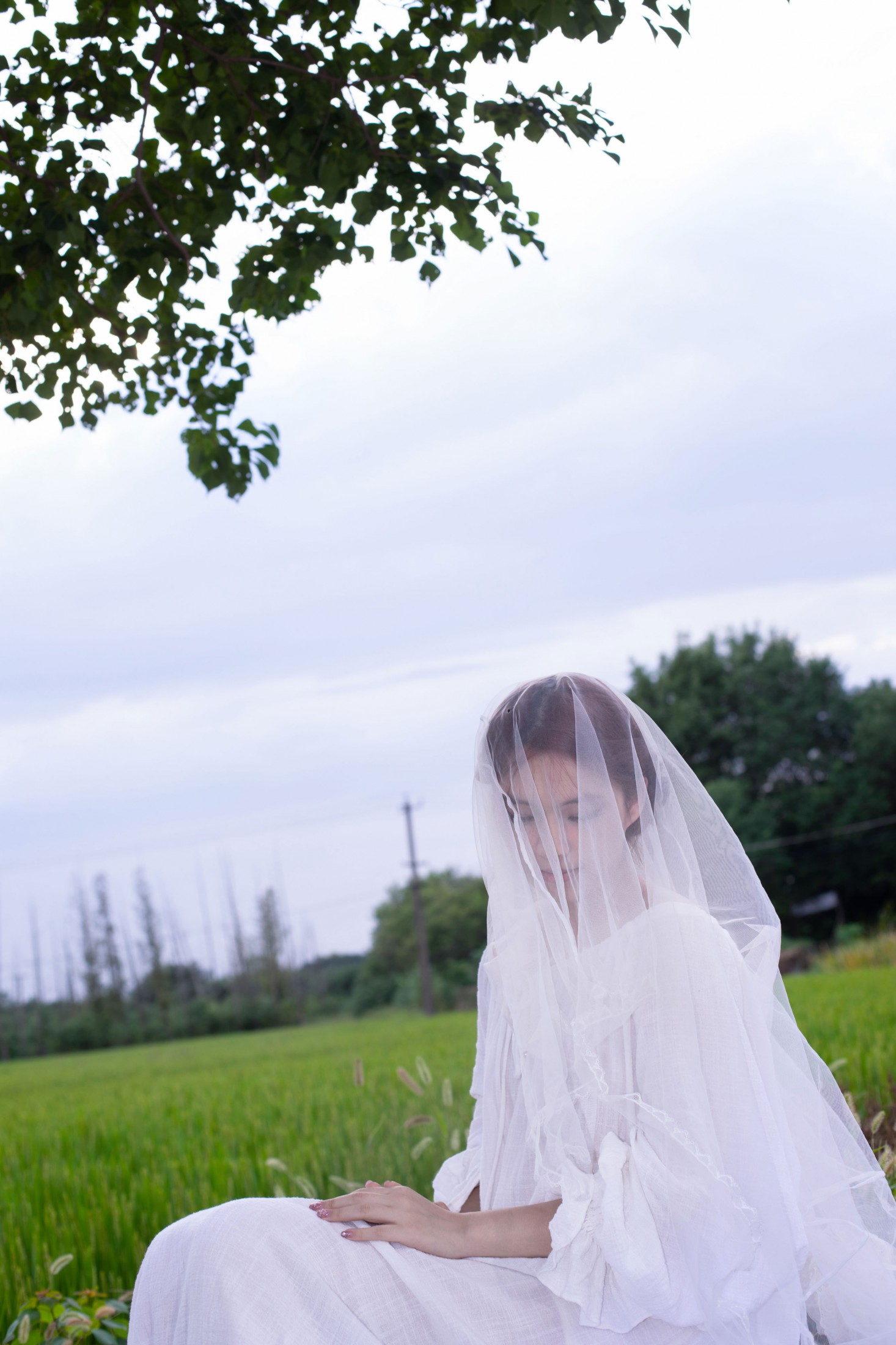 小肖 – 《青青稻田》[15P]