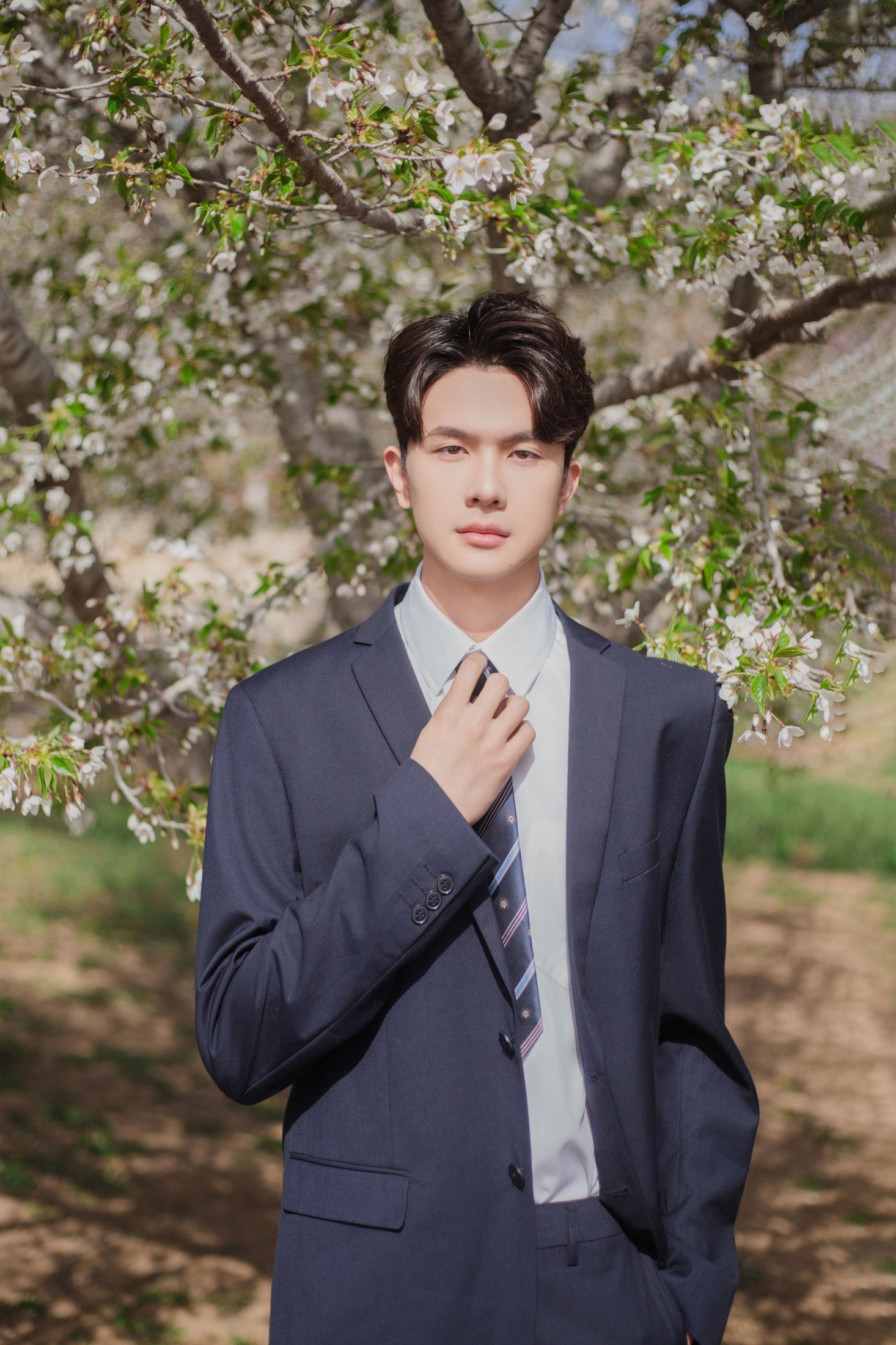 言弟弟 – 《树下樱花男孩》[28P]