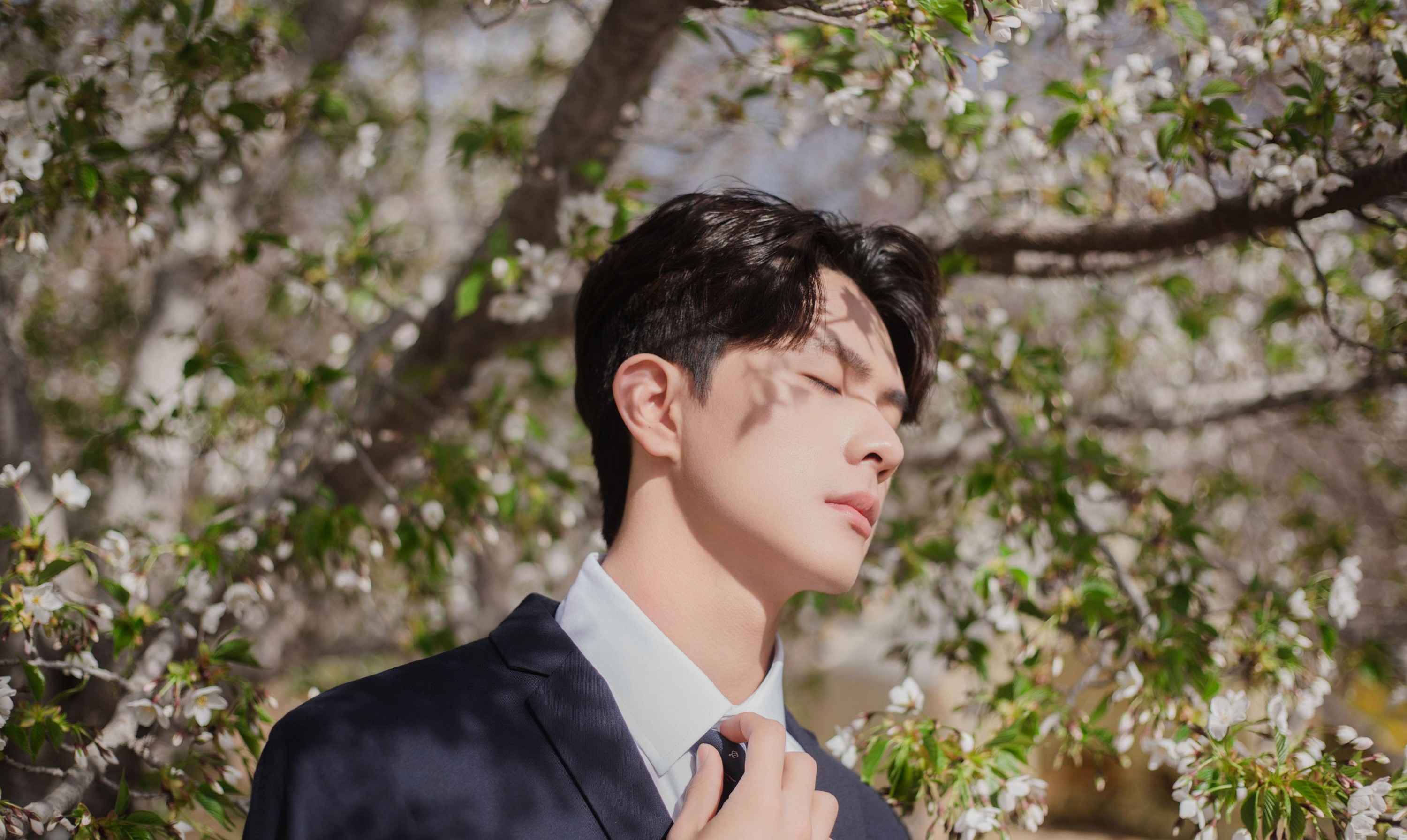 言弟弟 – 《树下樱花男孩》[28P] 插图2