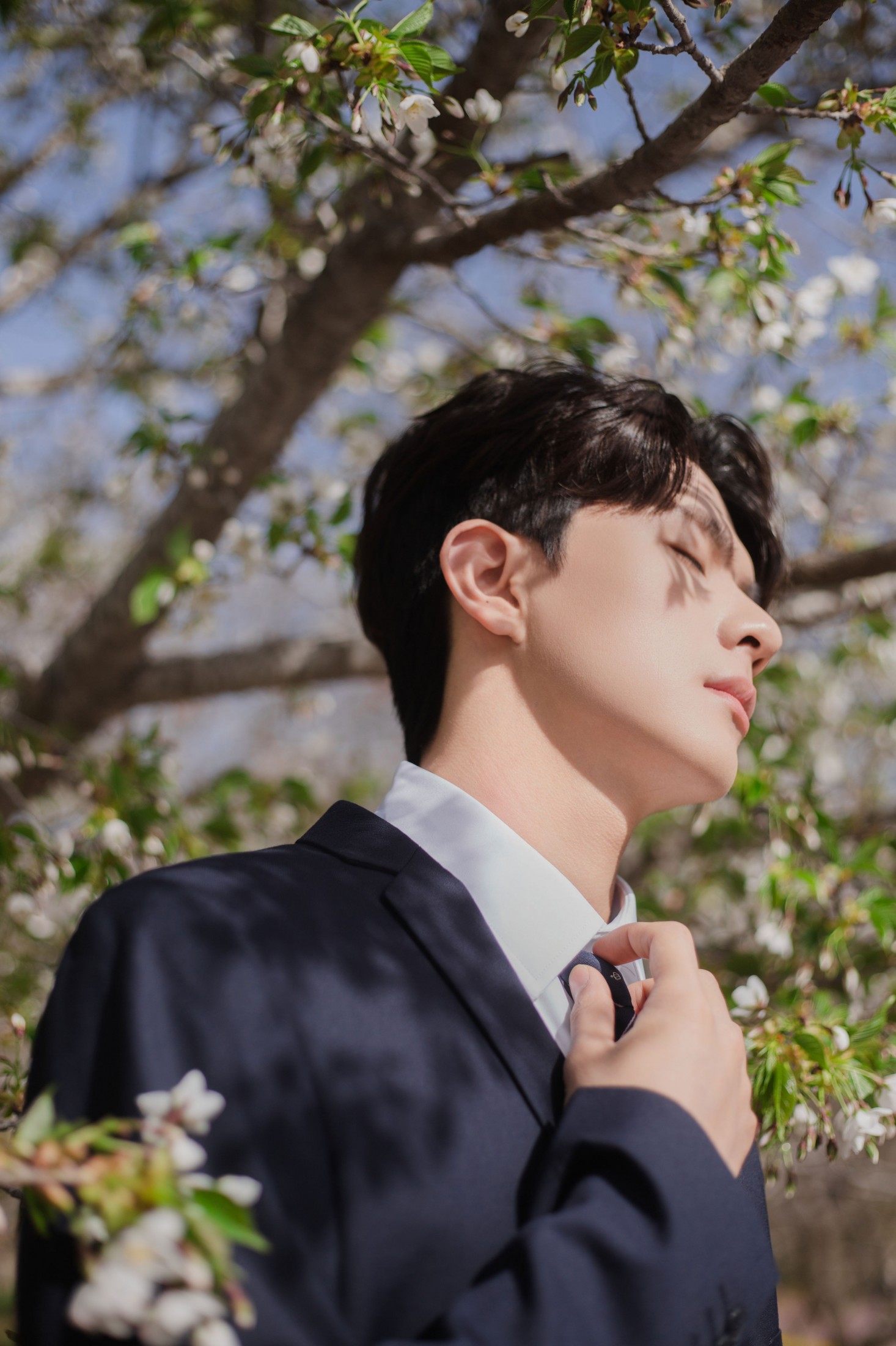 言弟弟 – 《树下樱花男孩》[28P] 插图3