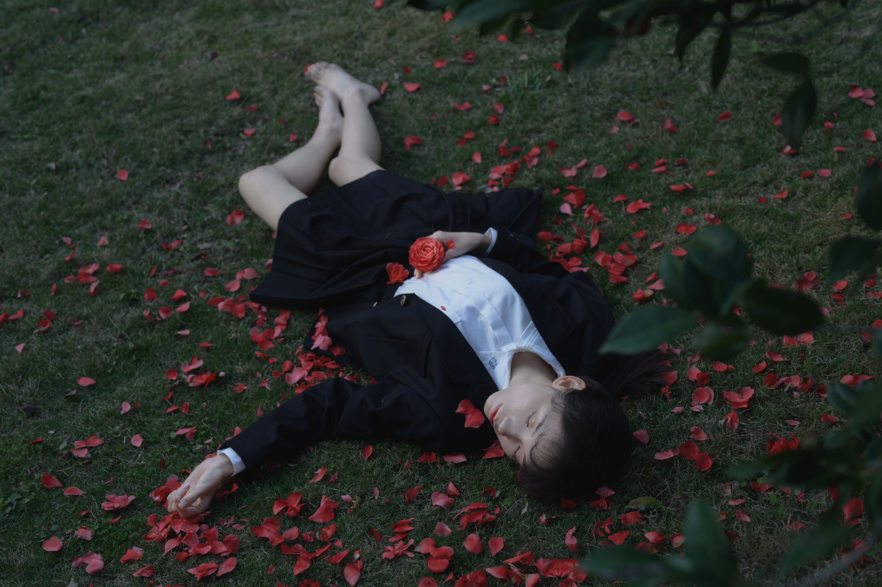 森森 – 《那年的山茶》[15P]