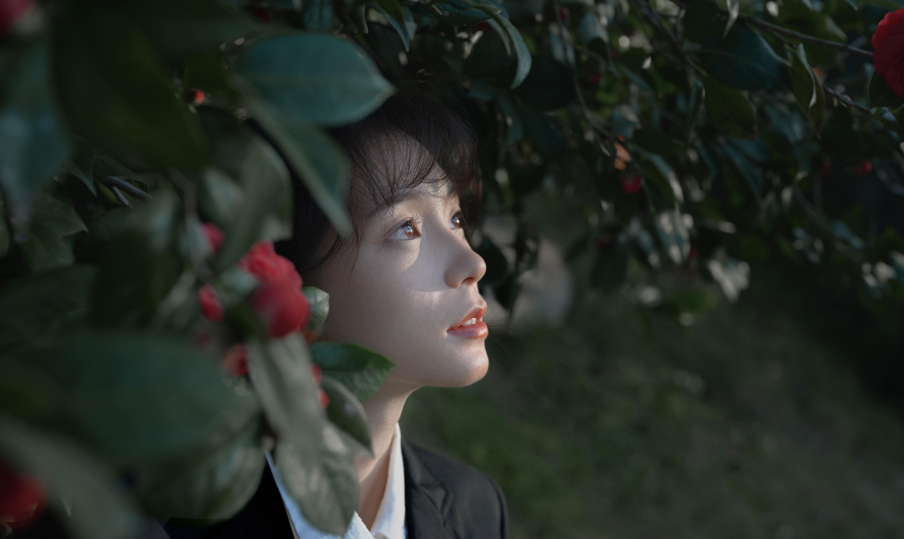 森森 – 《那年的山茶》[15P]