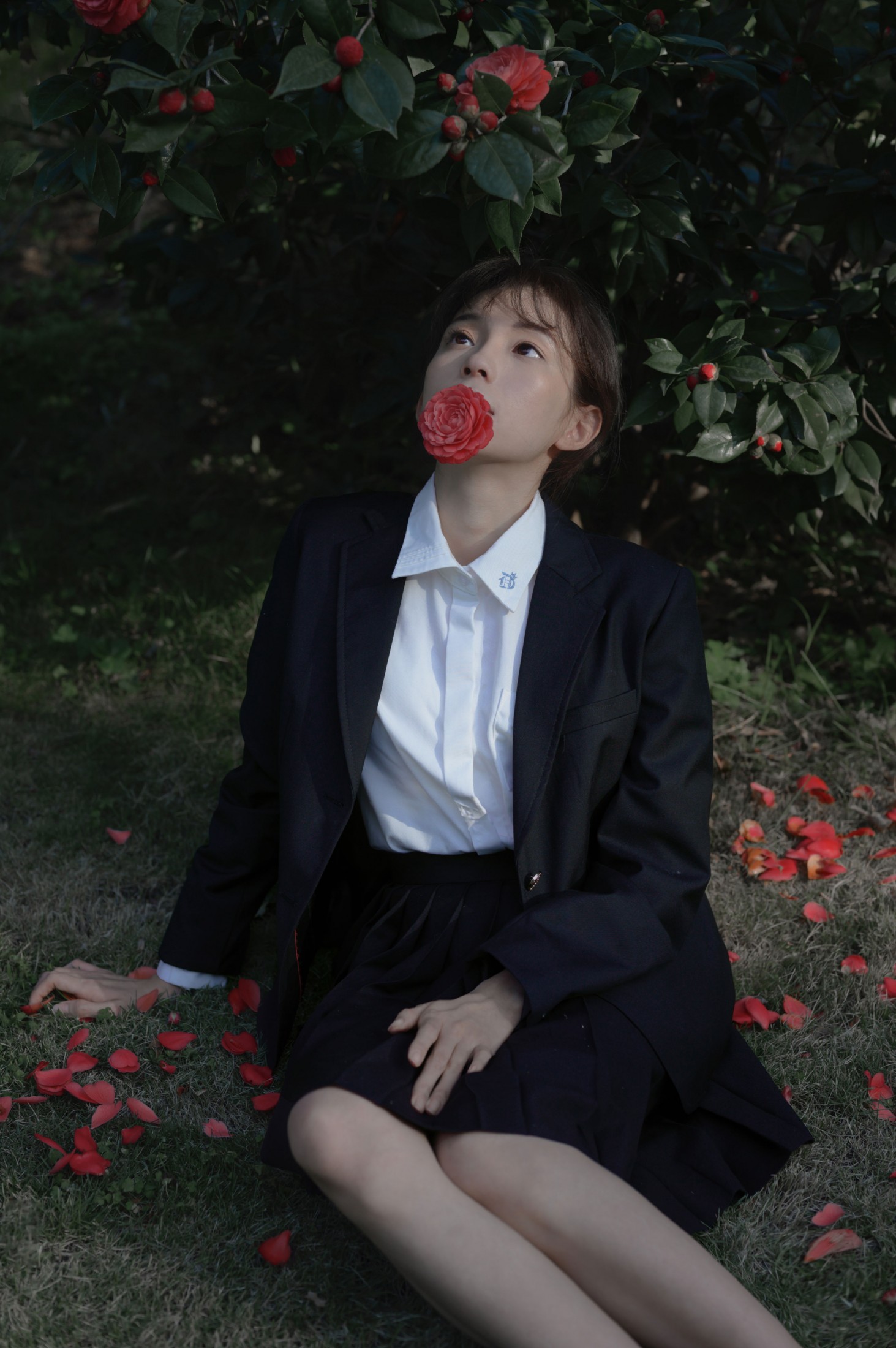 森森 – 《那年的山茶》[15P]