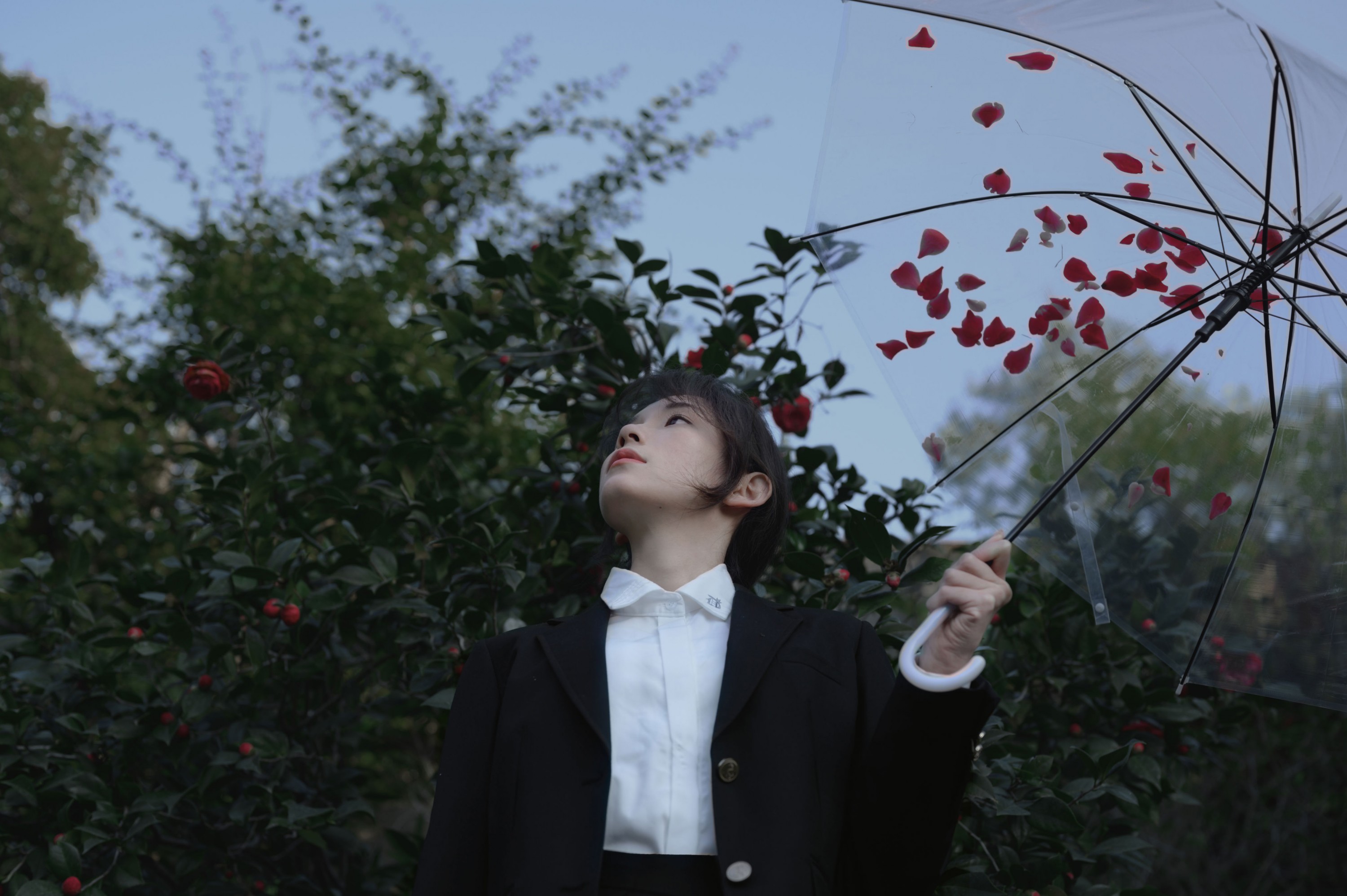 森森 – 《那年的山茶》[15P]