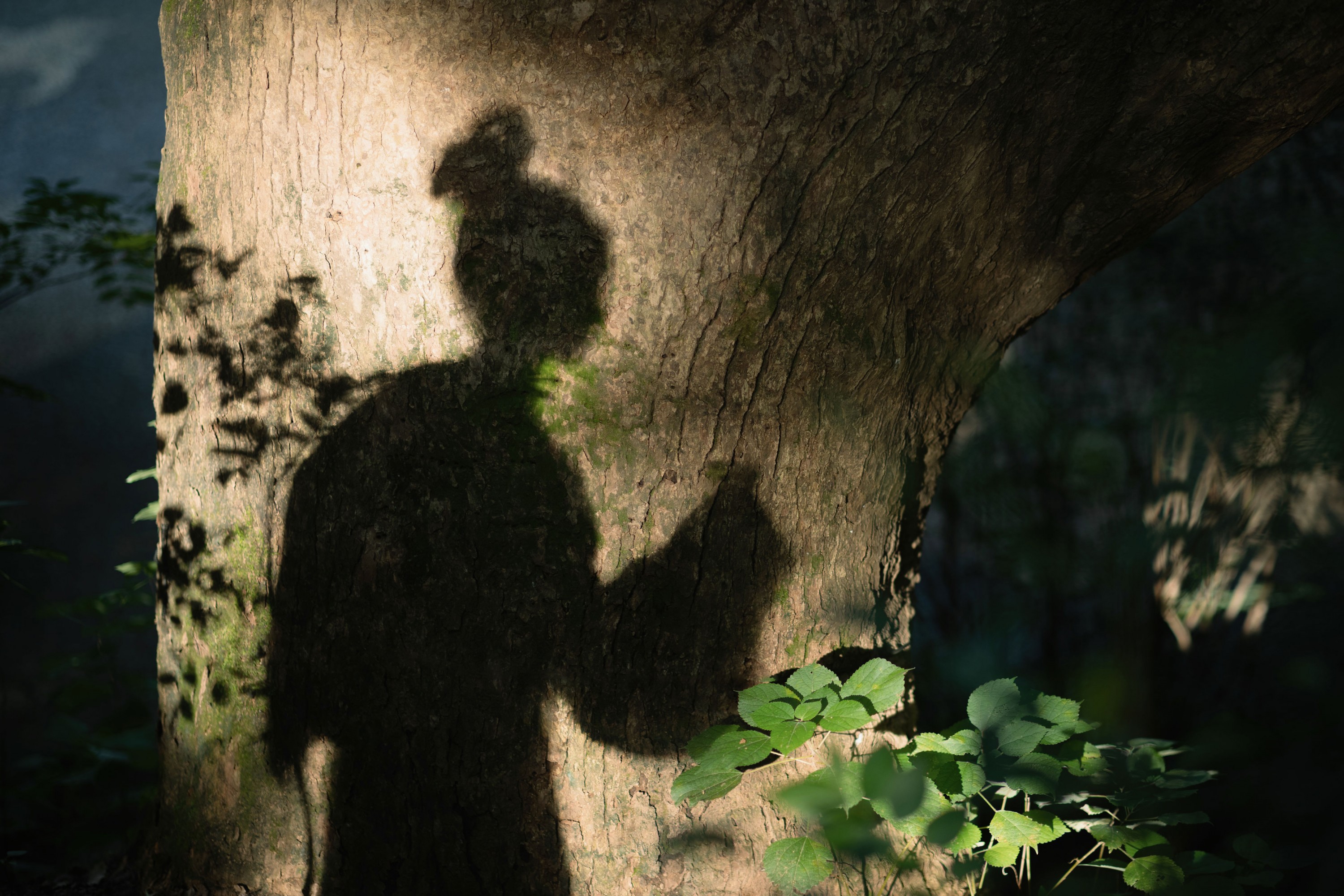 企鹅融融 – 《山中小憩》[50P] 插图4