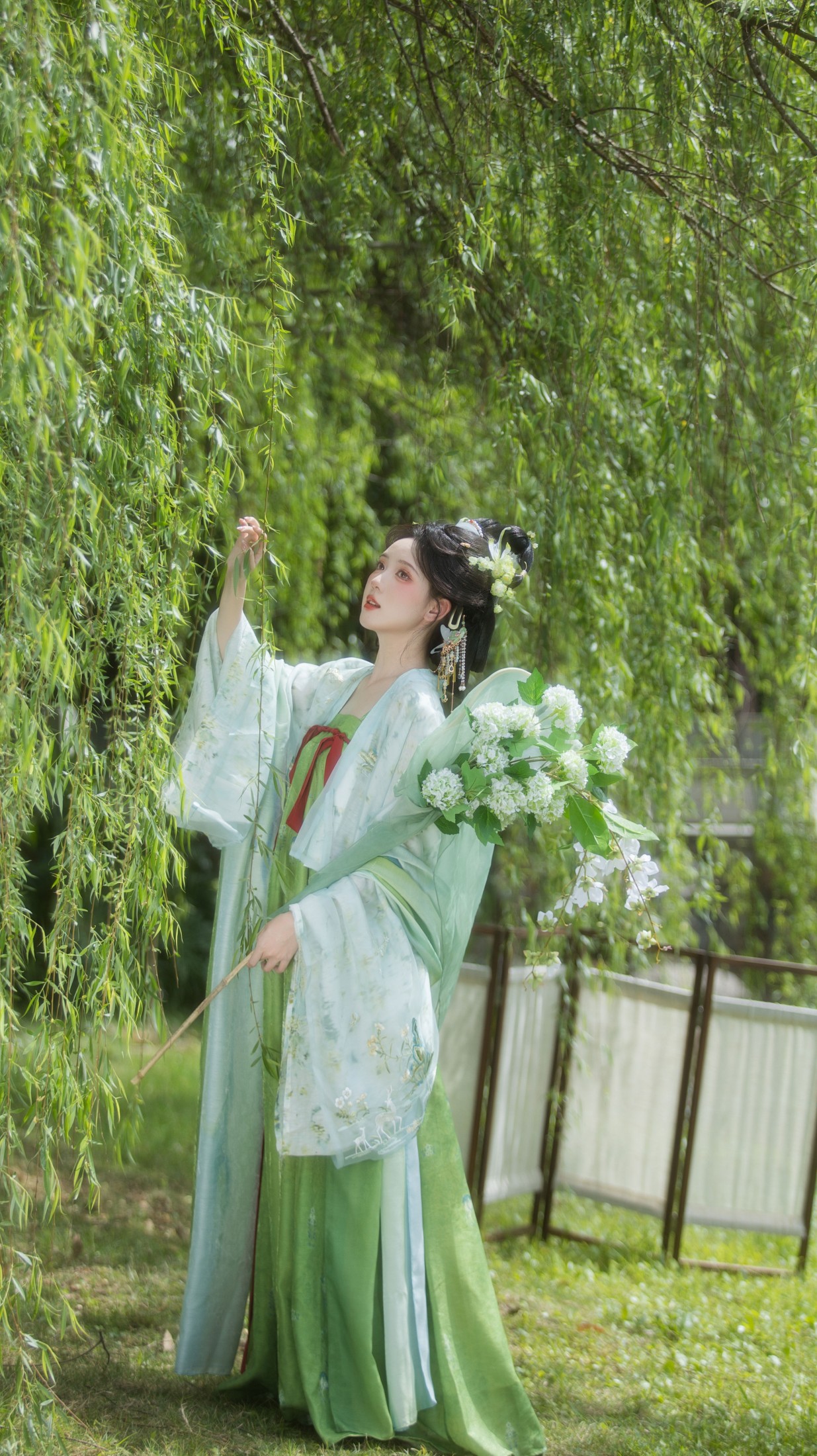 – 《杨柳依依》[13P]