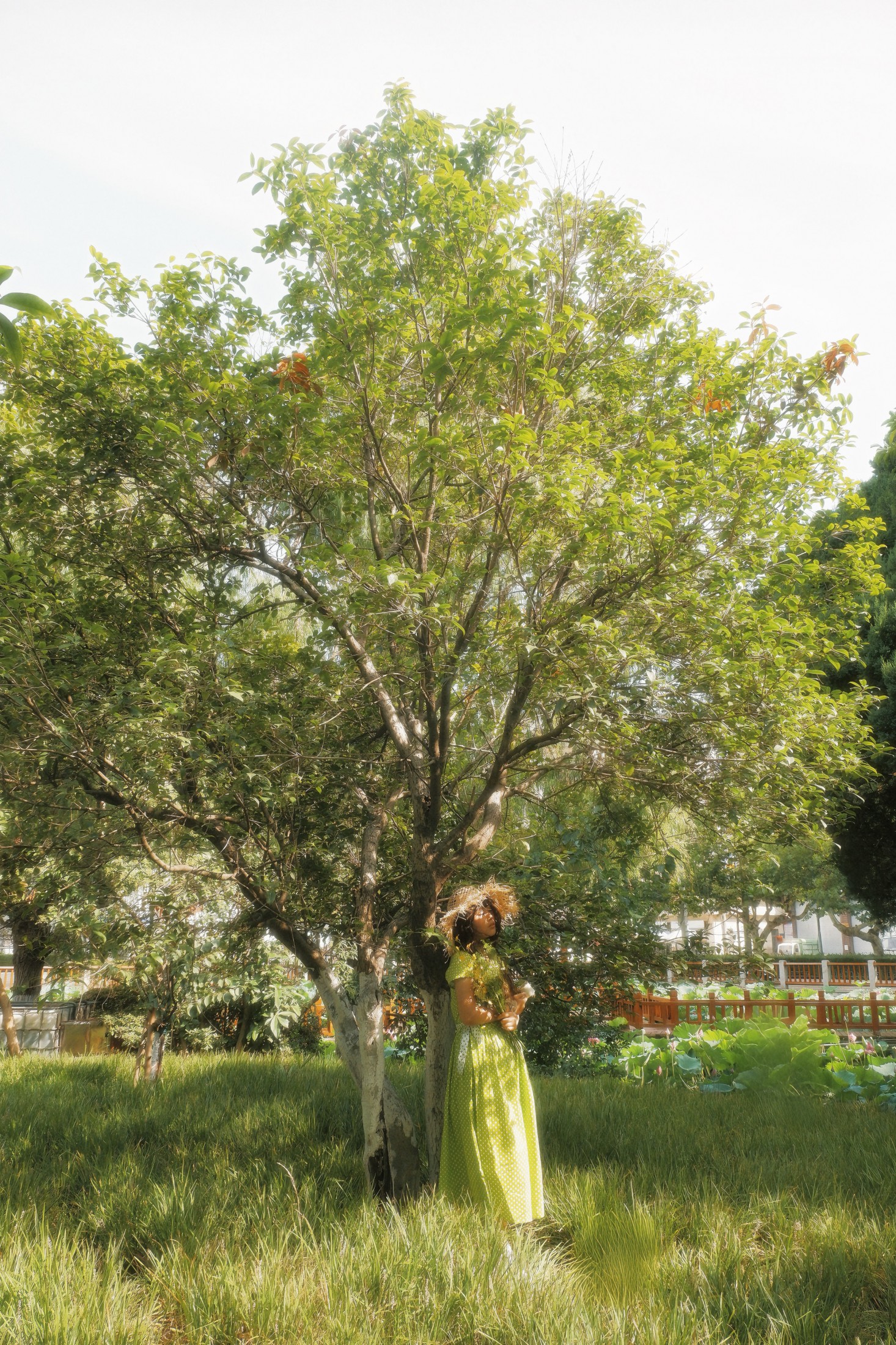  – 《我可否將你比作一個夏日》[10P] 插图3