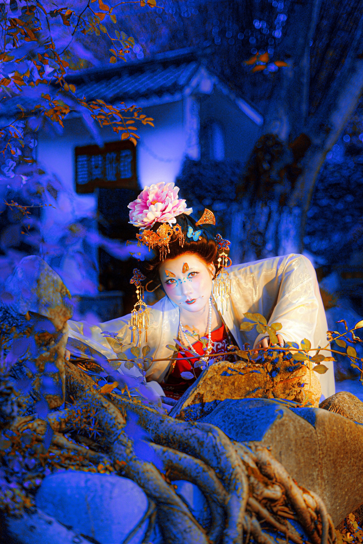 喜鸢 – 《蝶妖飞升》[10P] 插图5