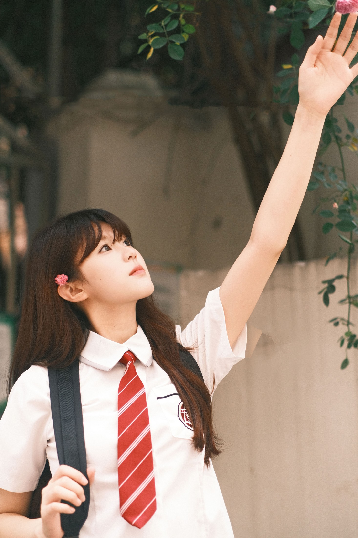 可爱多 – 《学姐你好》[23P]